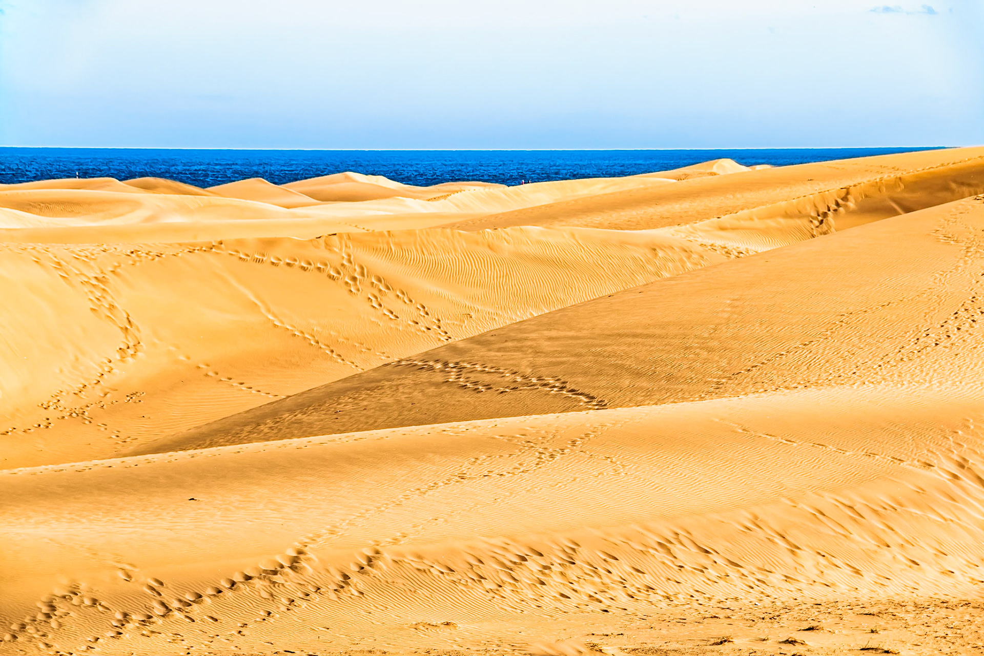 Dünen von Maspalomas