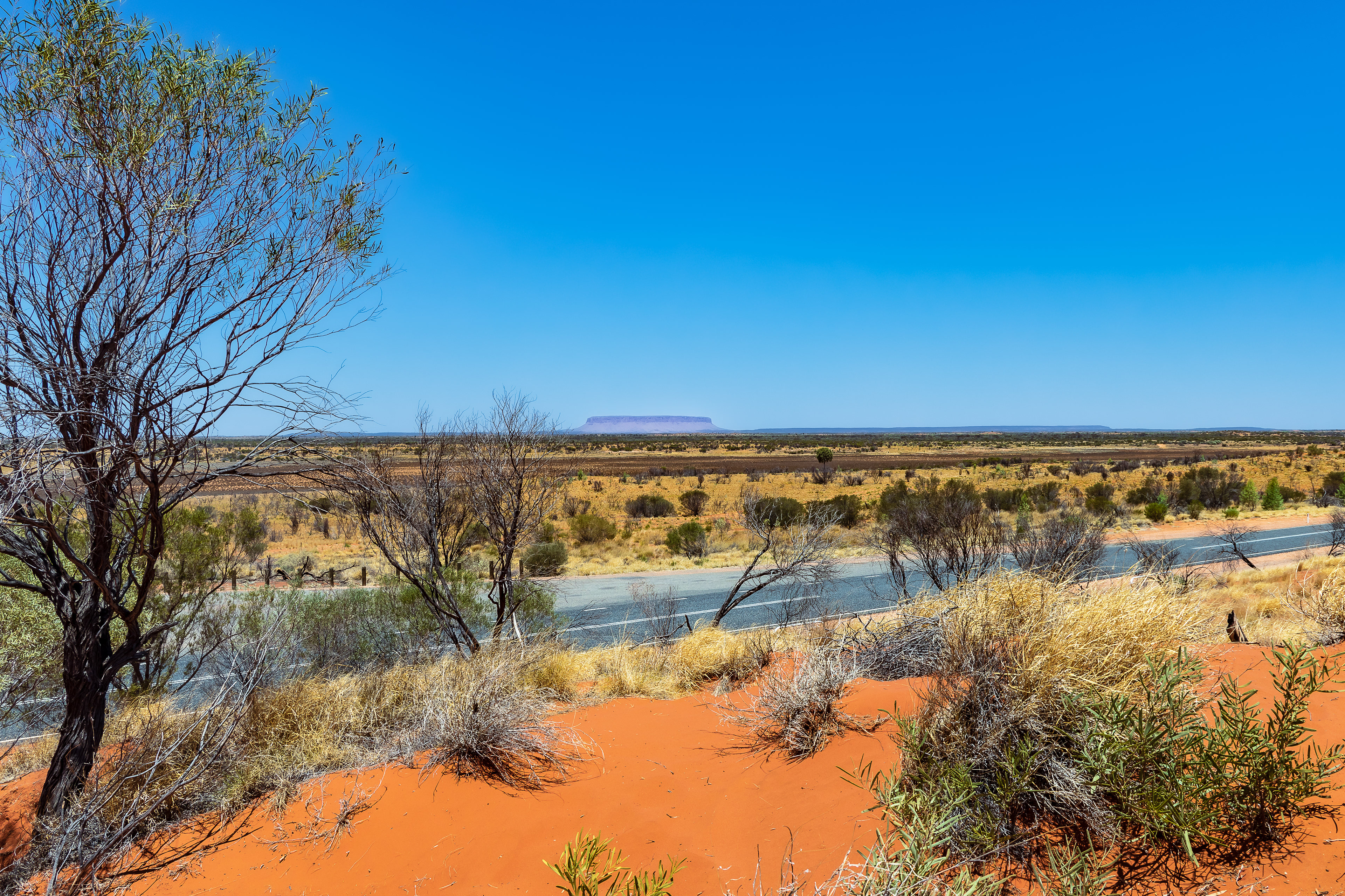Australiens Outback mit dem roten Zentrum vom Northern Territory mit dem Lasseter Highway und dem Mount Connor