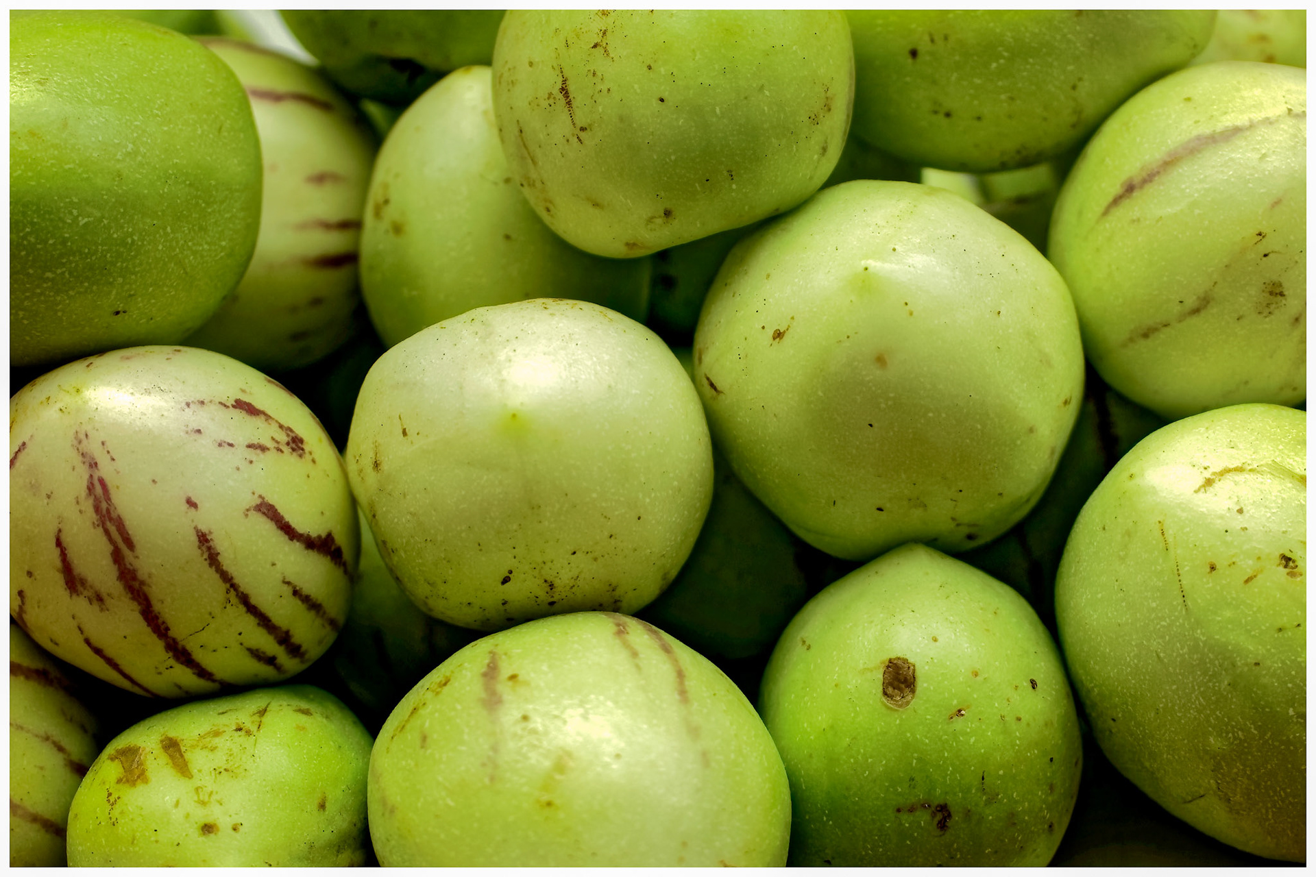Birnenmelone Pepino