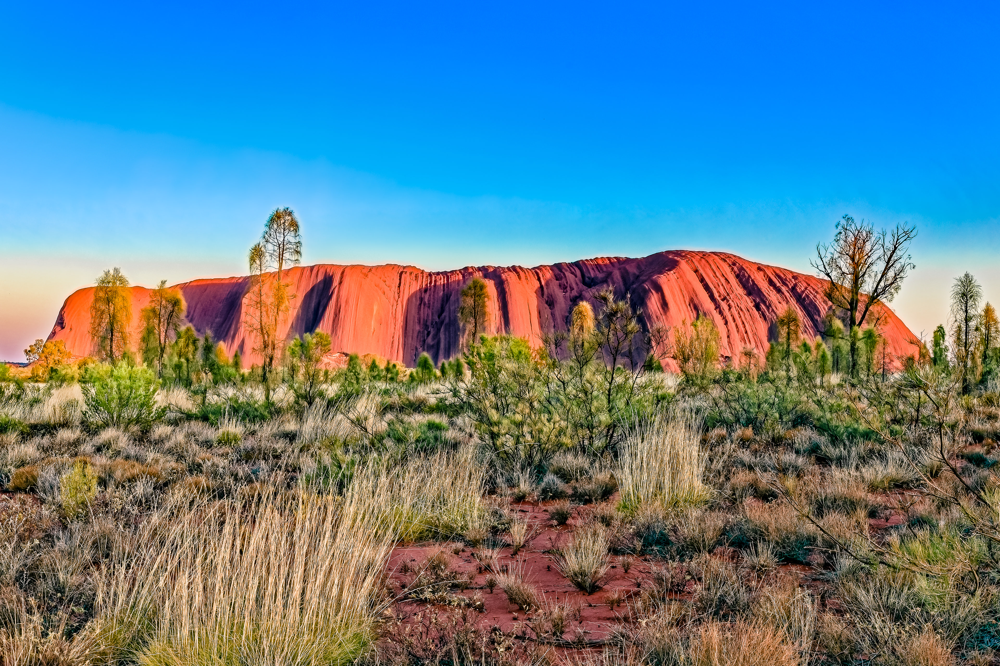 Outback - Sonnenaufgang am Uluru