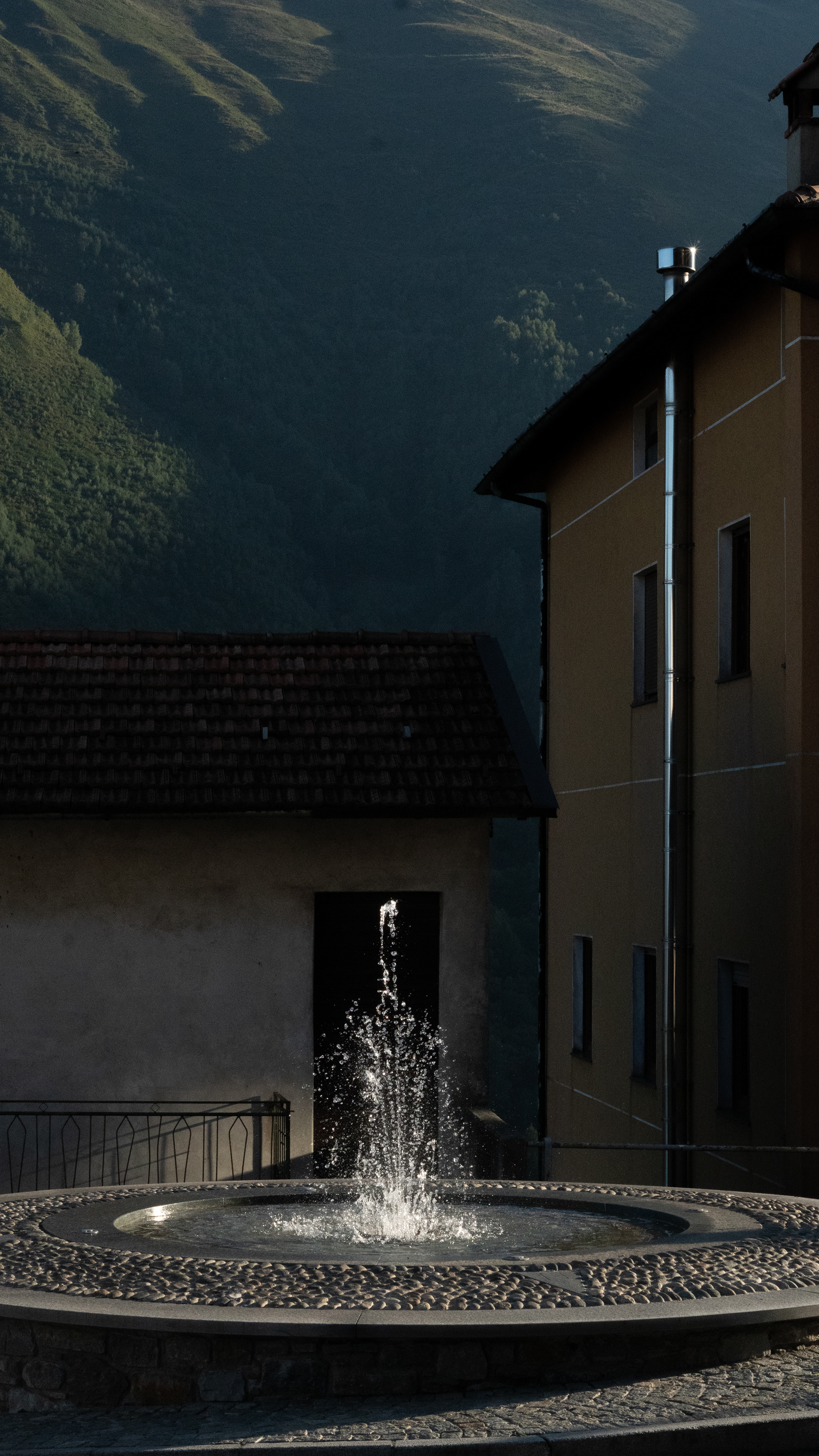 Reflection in Action