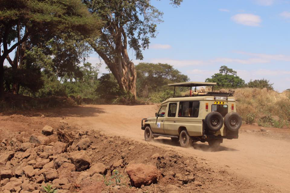safari jeeps