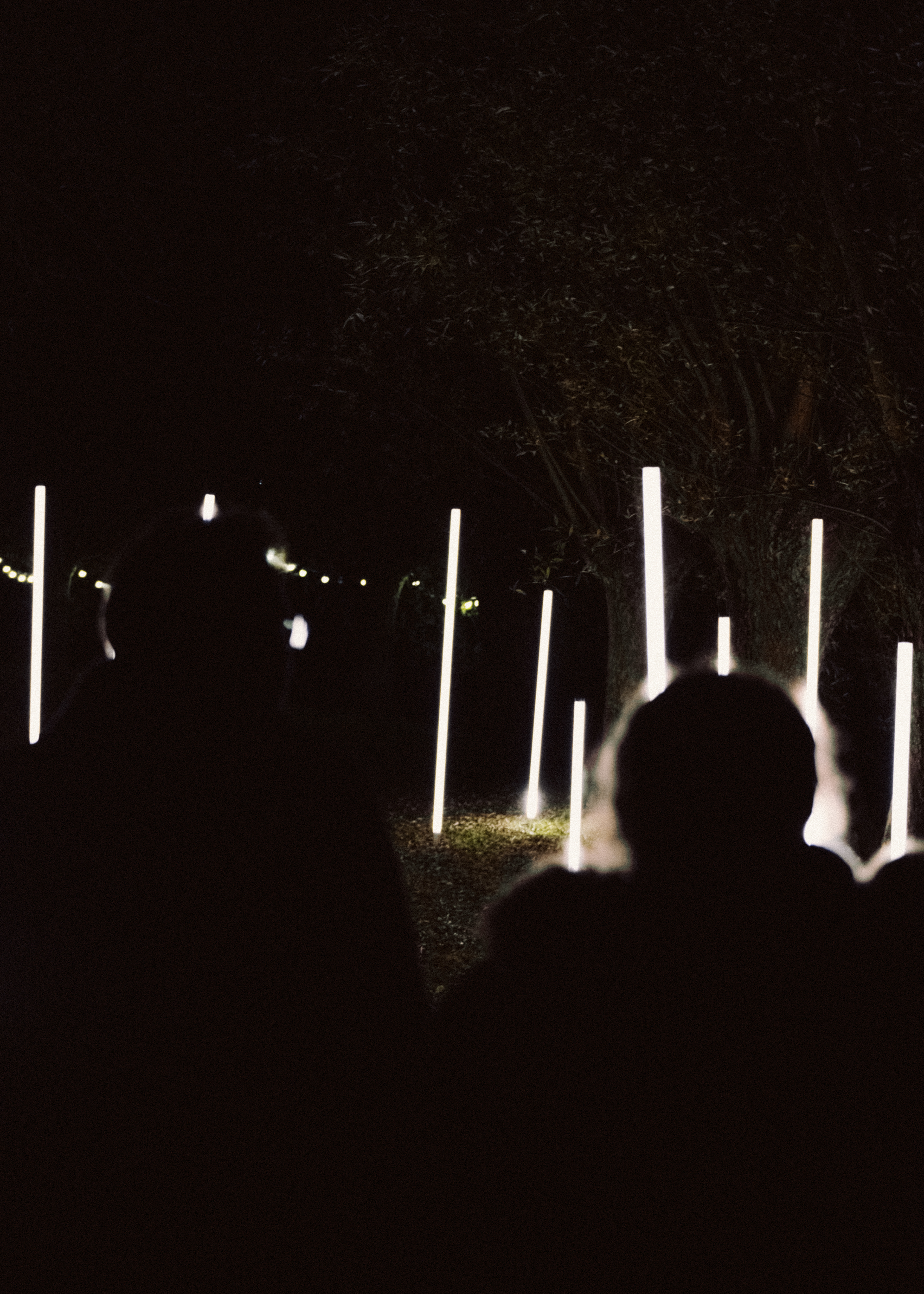 Foto door Vincent van de Brink