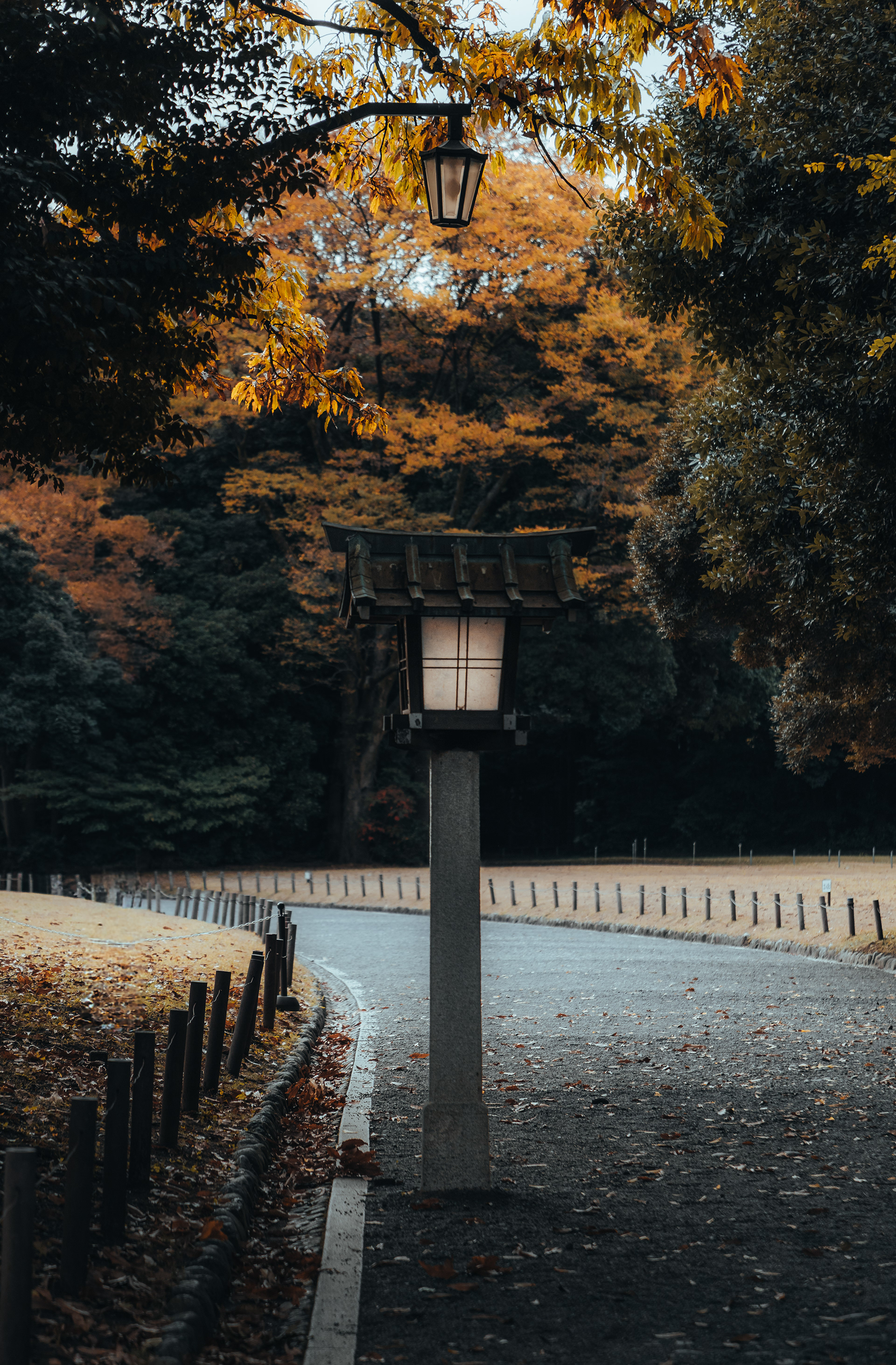 JP08
