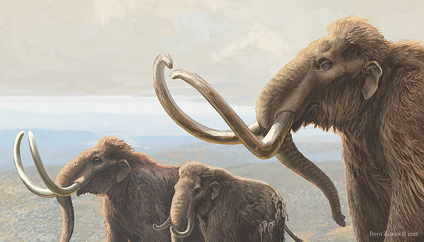 Beth Zaiken - New York State Museum | Pleistocene Tundra Mural