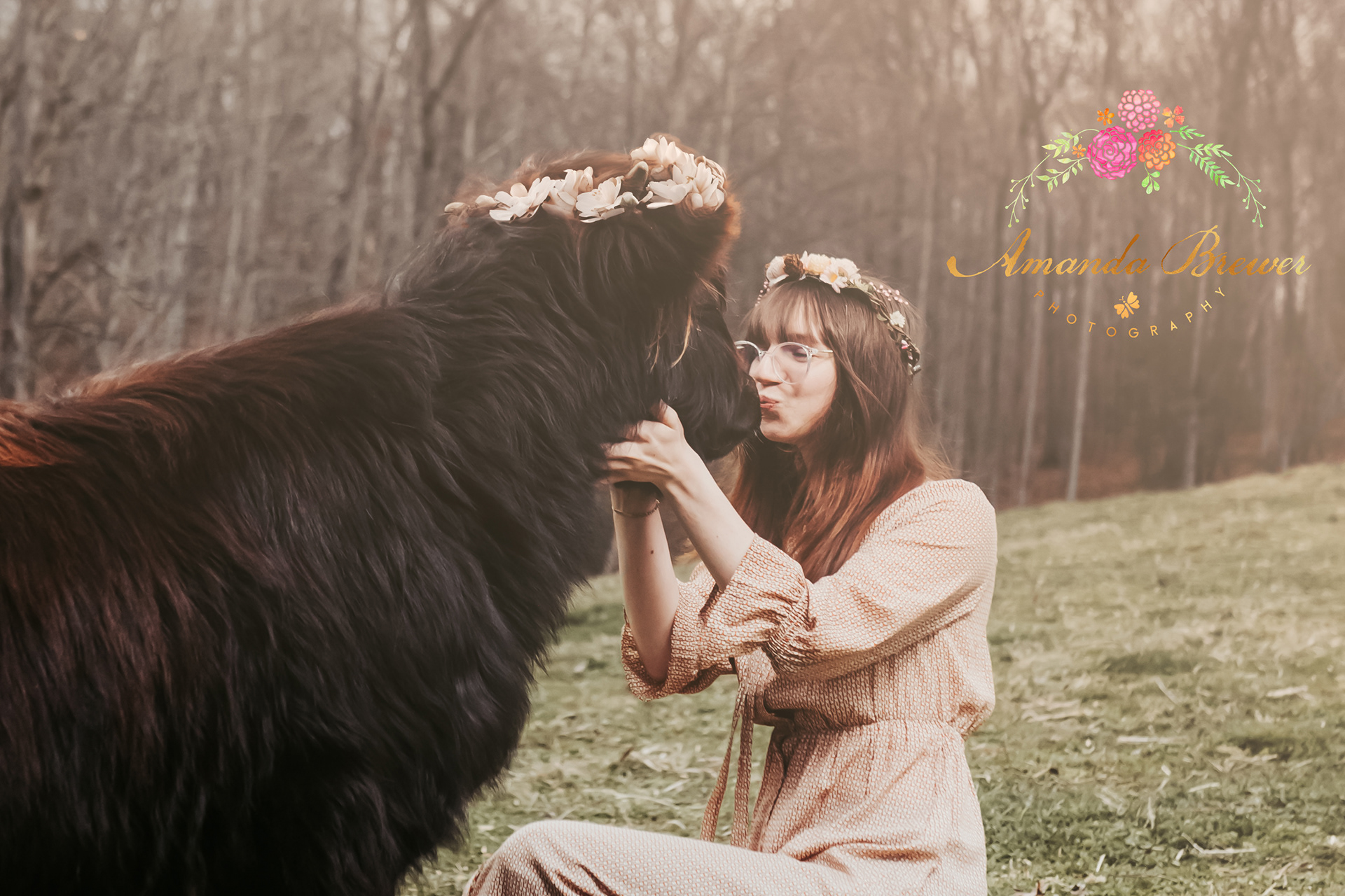 Highland Cattle