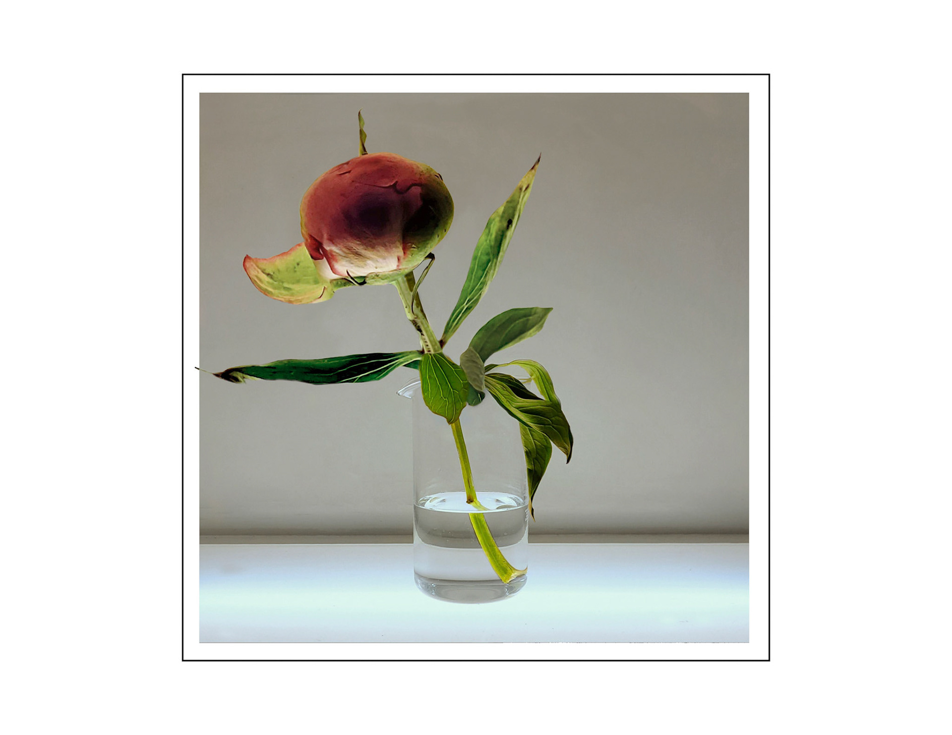 Before, 10" x 10", digital collage, ink jet print, 2022