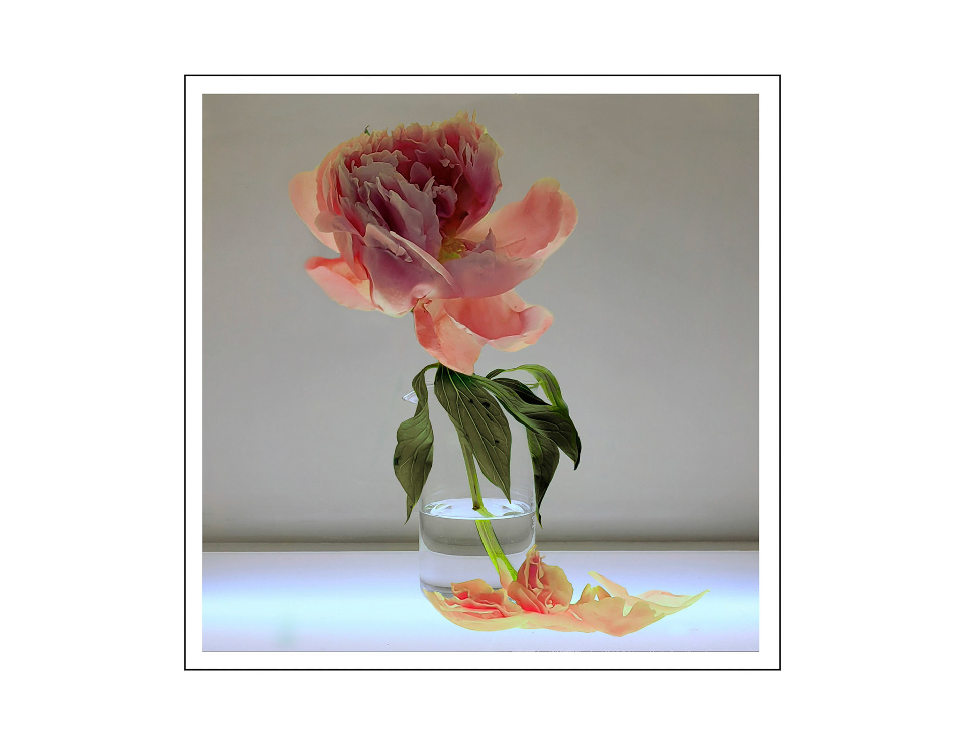 Became, 10" x 10", digital collage, ink jet print, 2022
