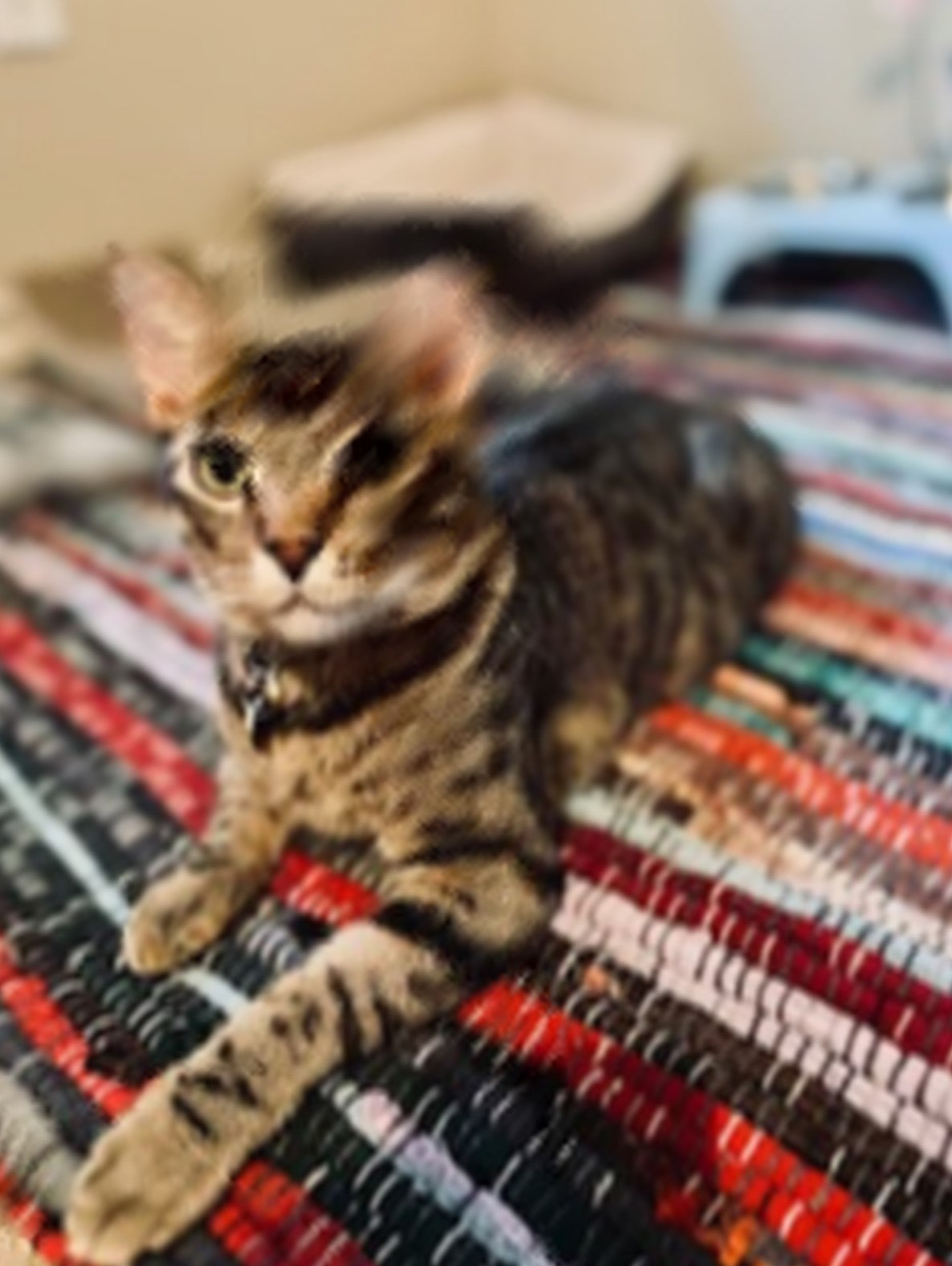 Motion Blur
