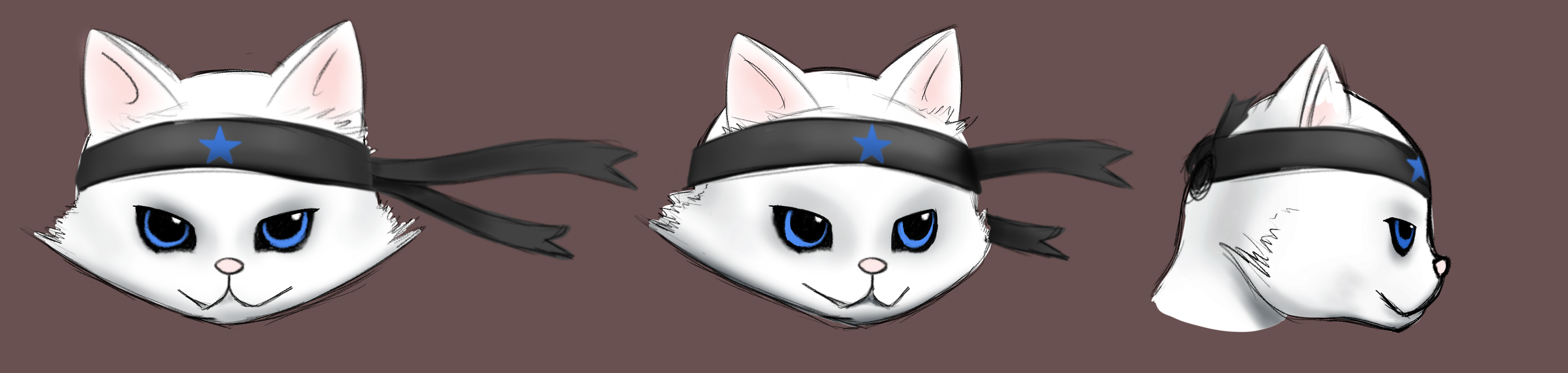 Ninja Cat Head Turnarounds
