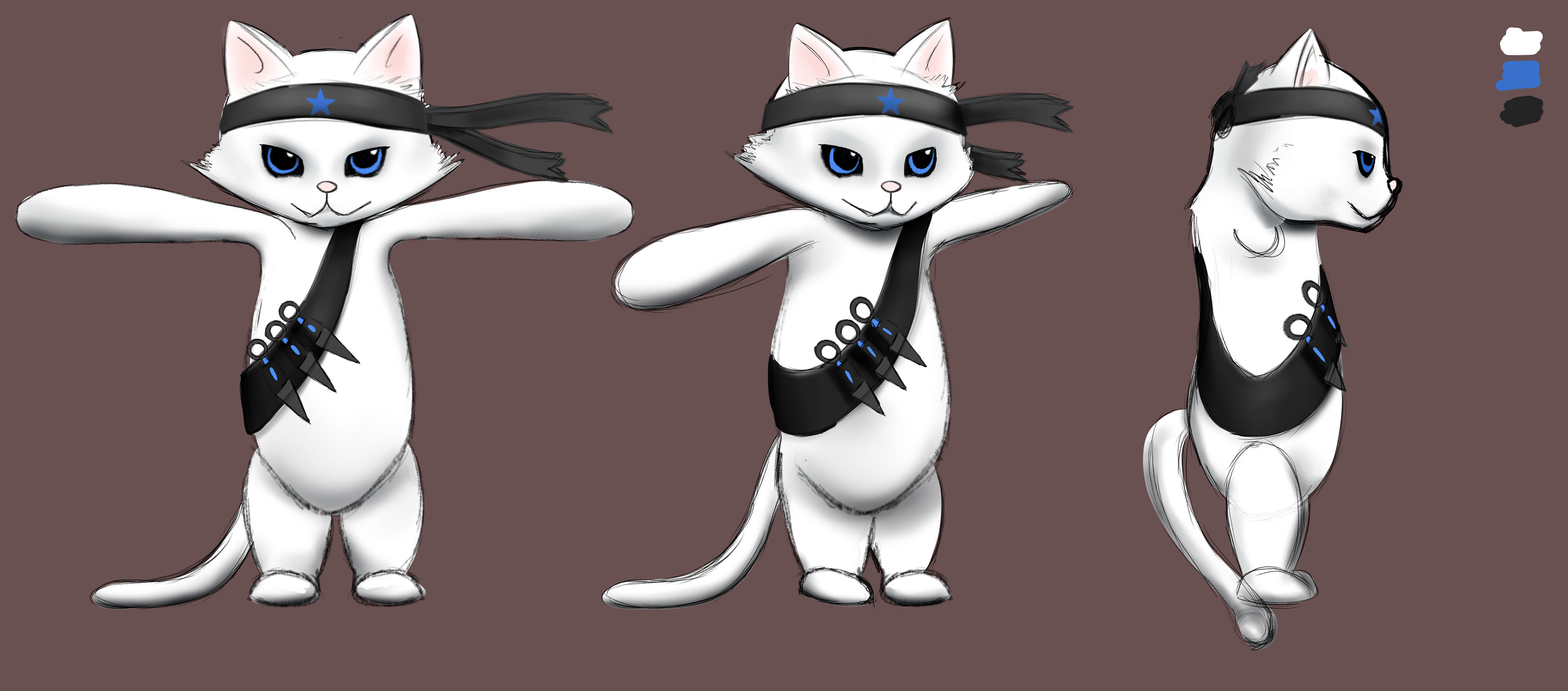 Ninja Cat Body Turnarounds
