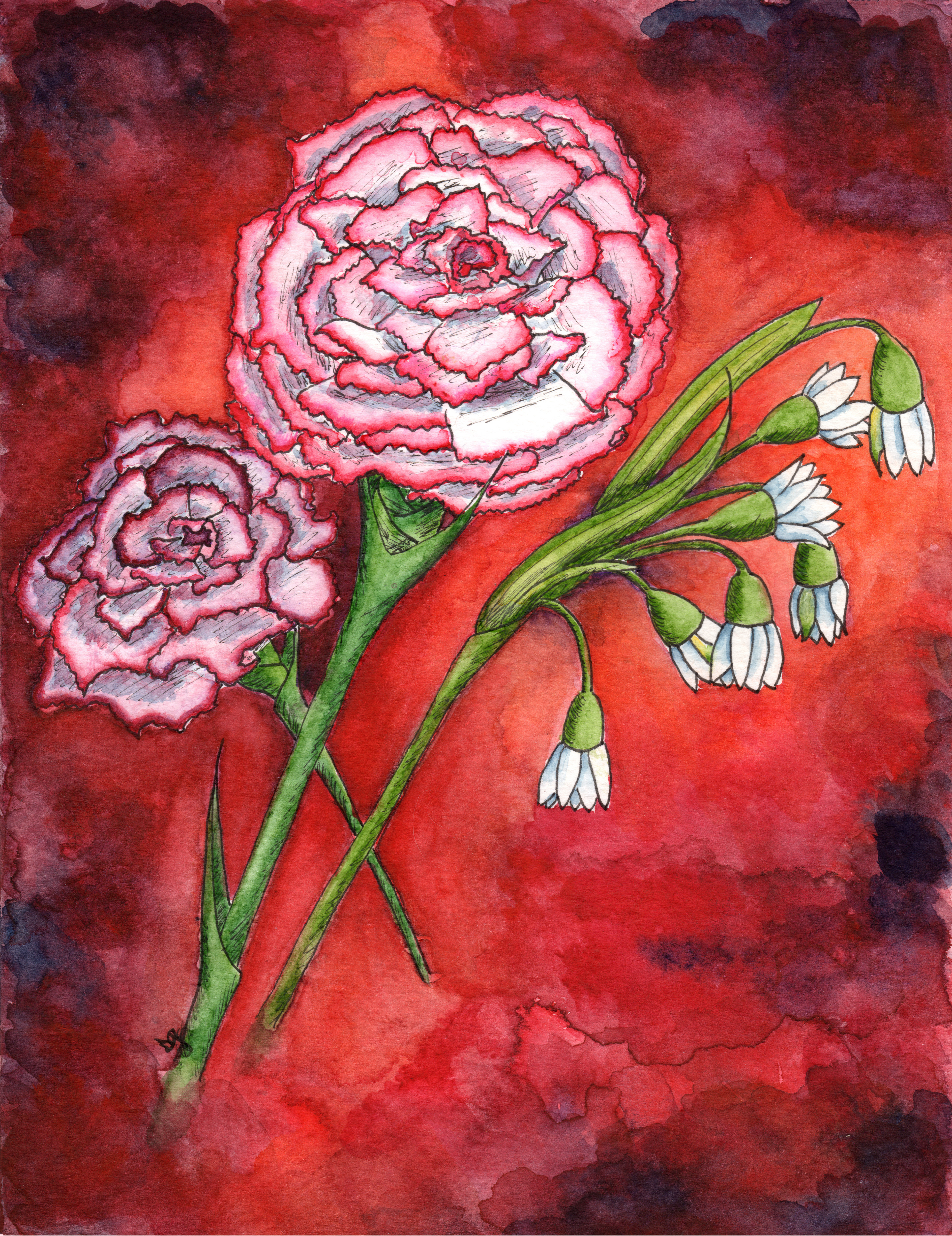 "January: Garnet, Carnation & Snowdrop."