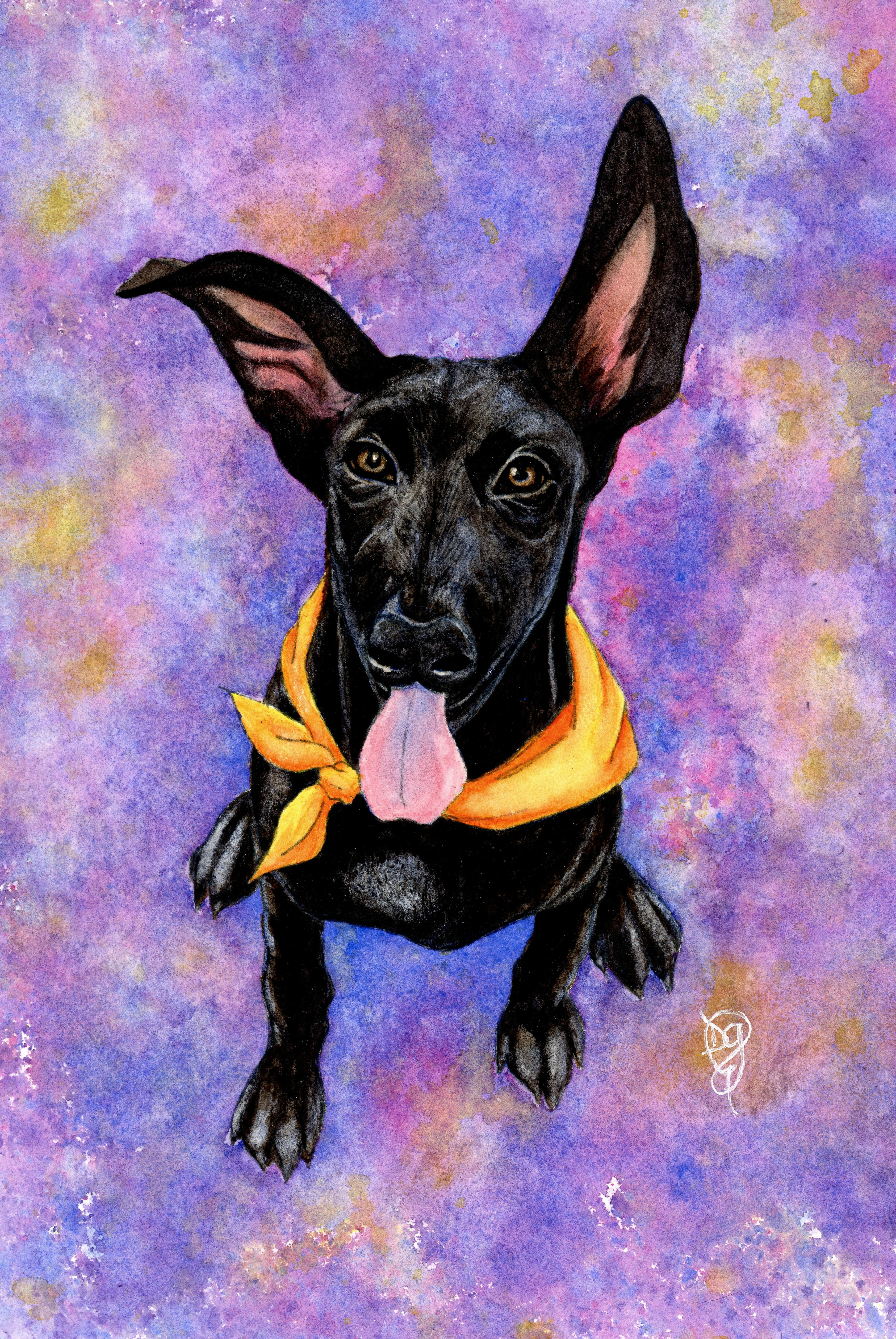 Kobe. watercolor and pencil.