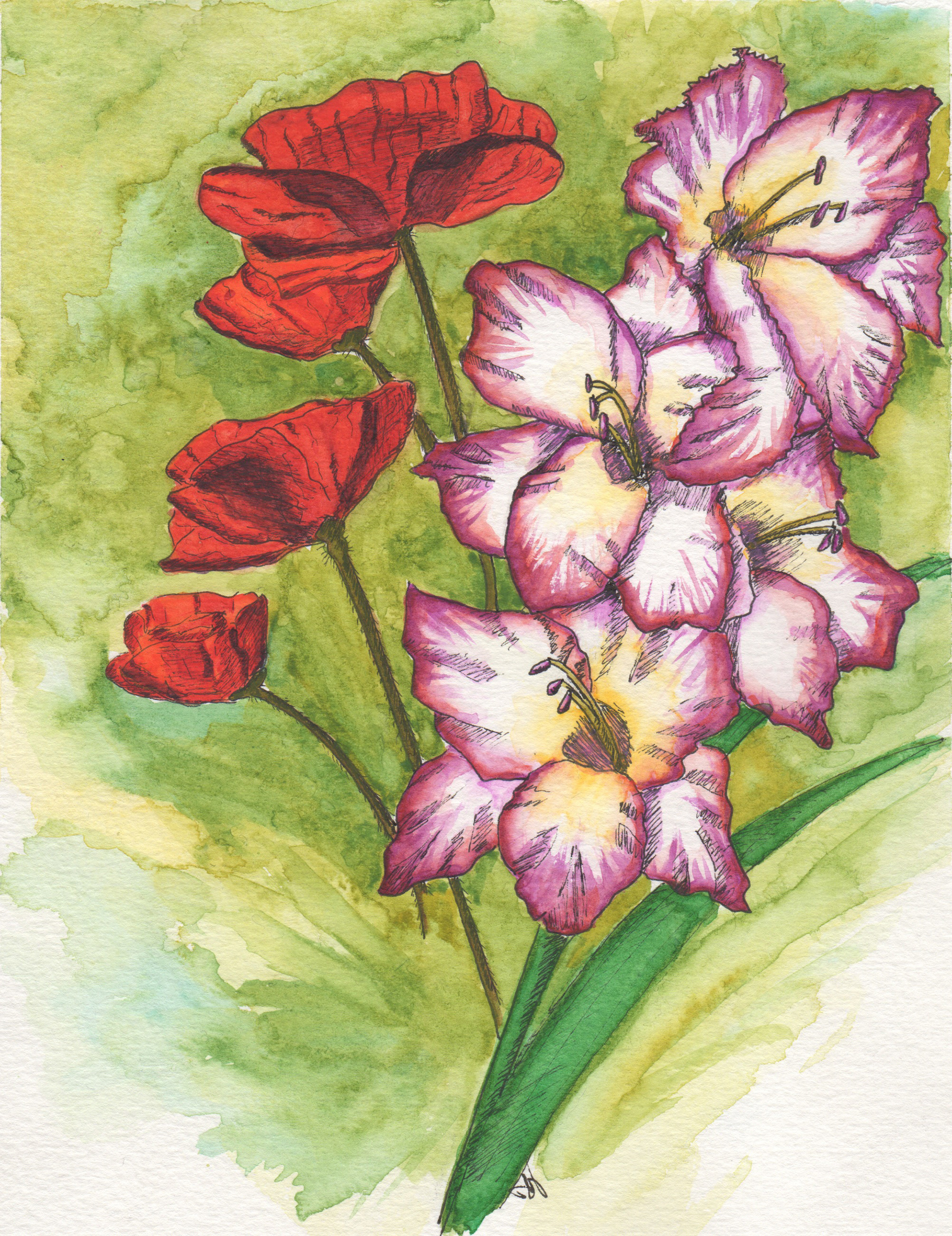 "August: Peridot, Poppy & Gladiolus."