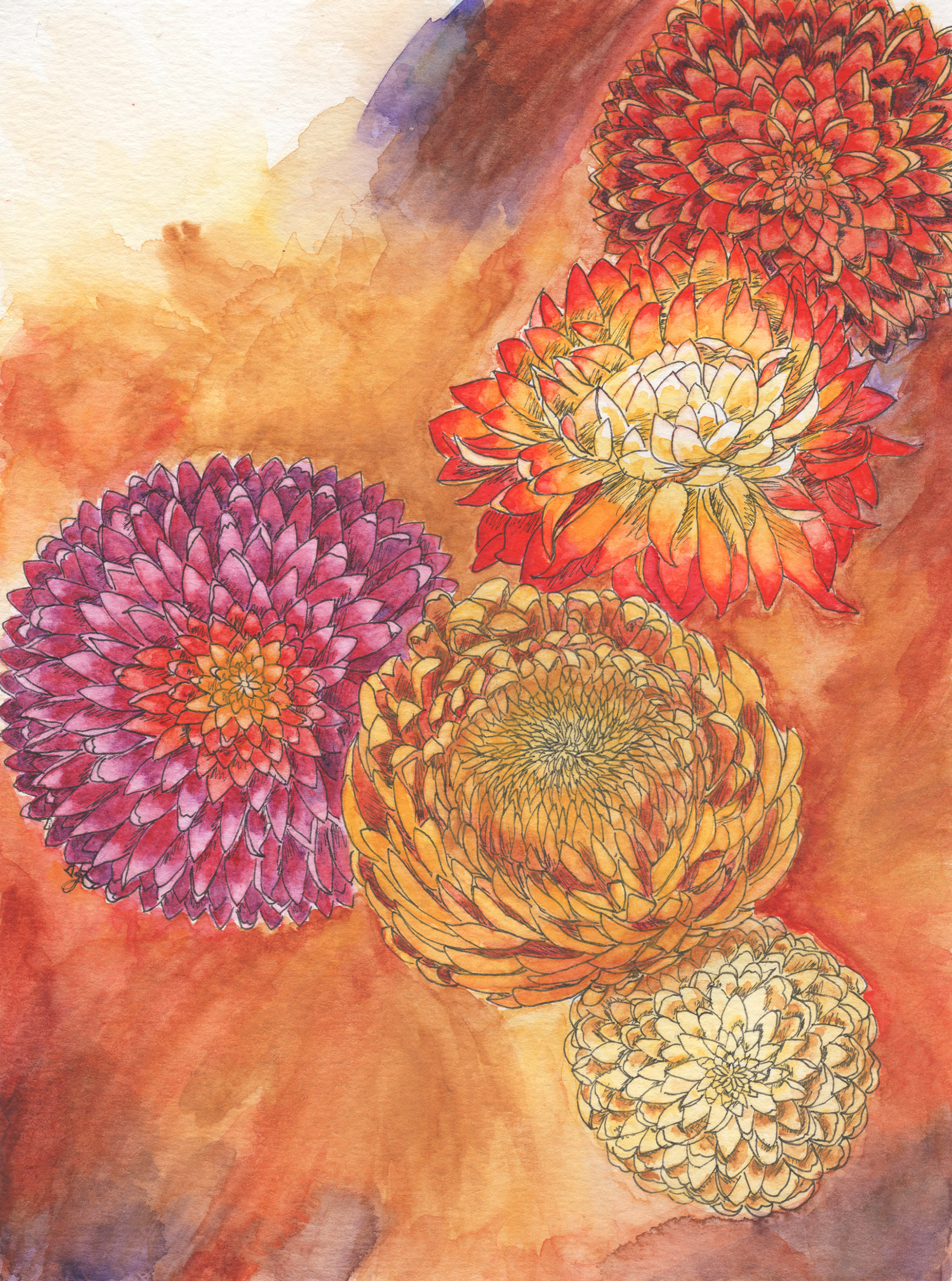 "November: Topaz, Chrysanthemum."