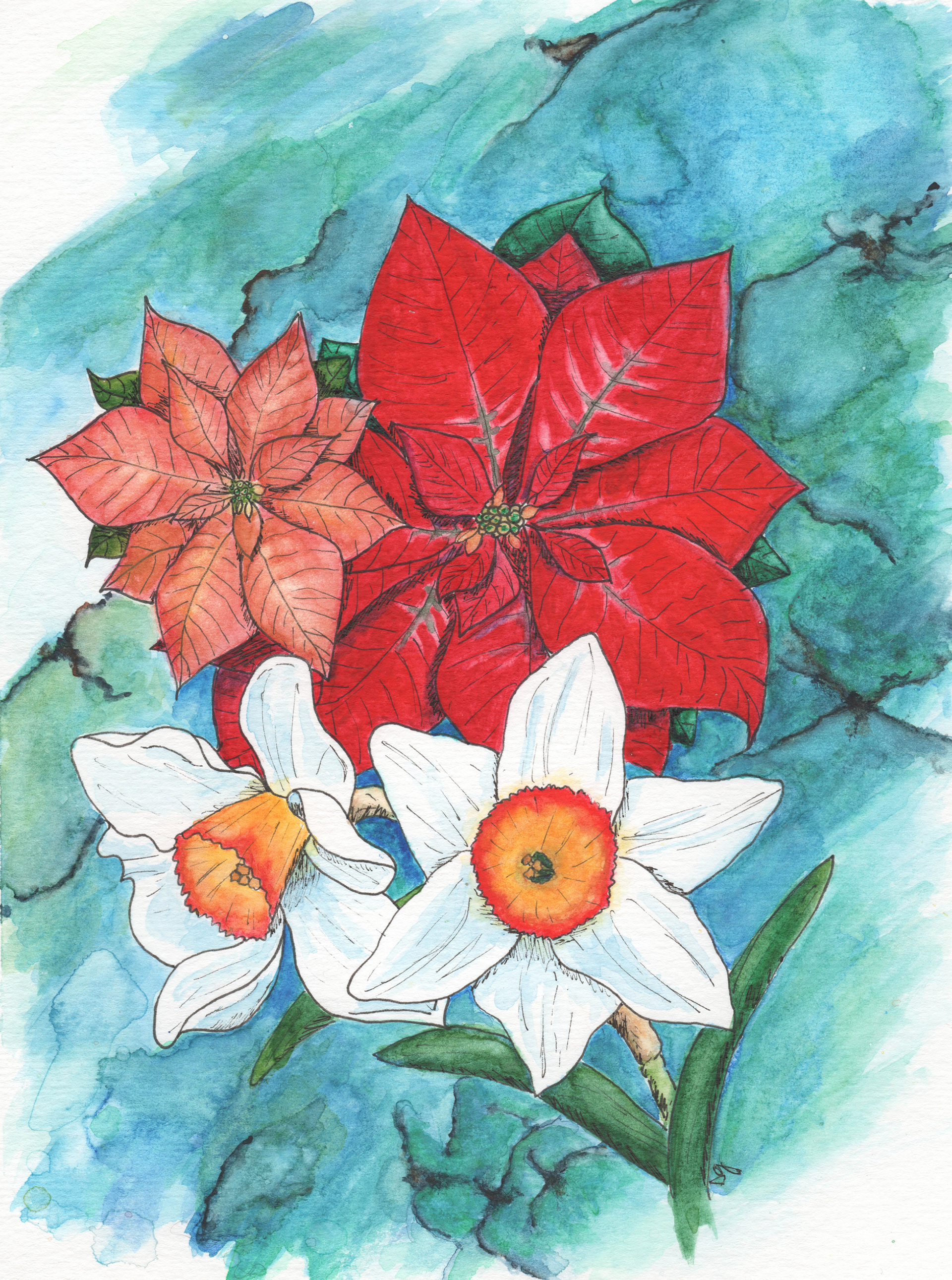 "December: Turquoise, Poinsettia & Narcissus."