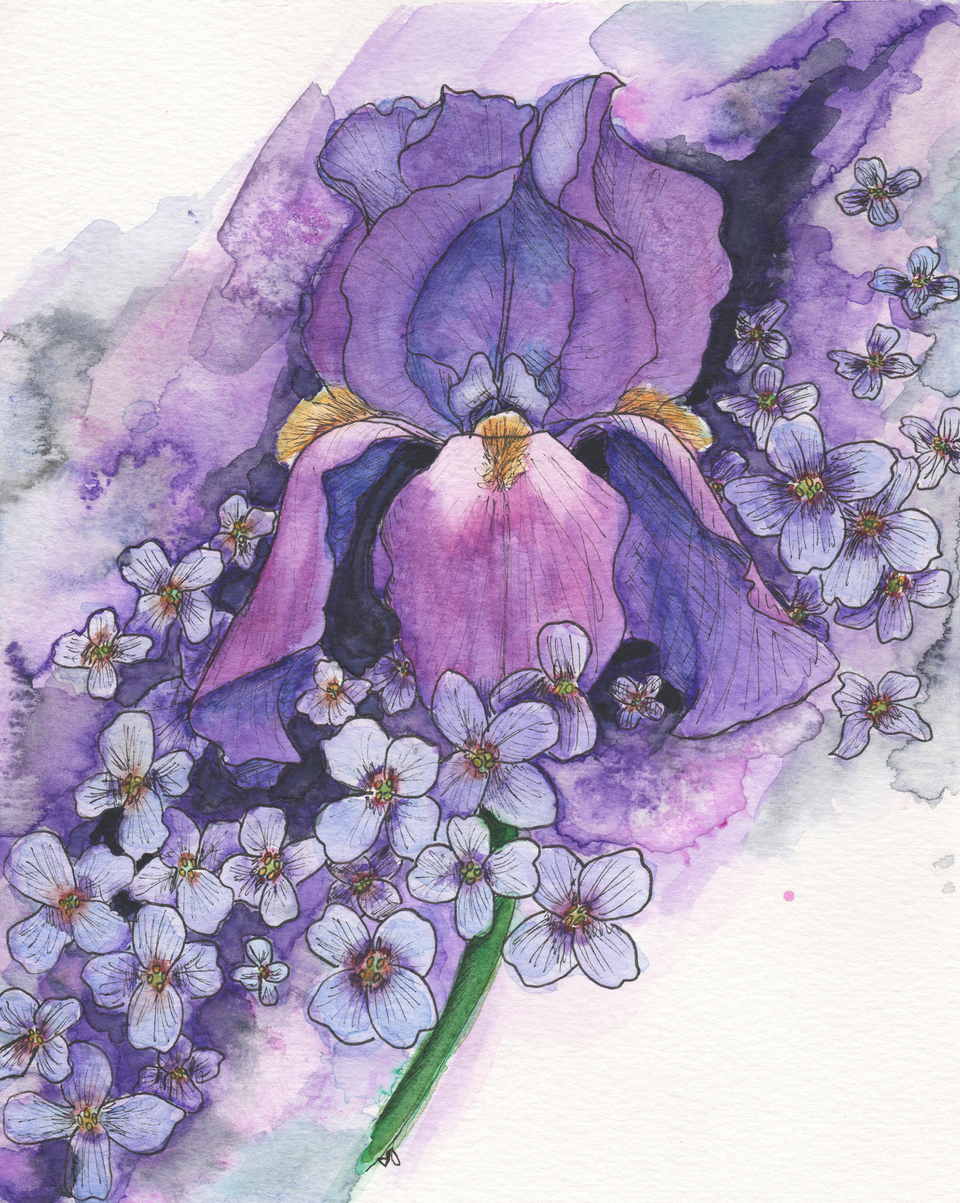 "February: Amethyst, Iris & Violet."