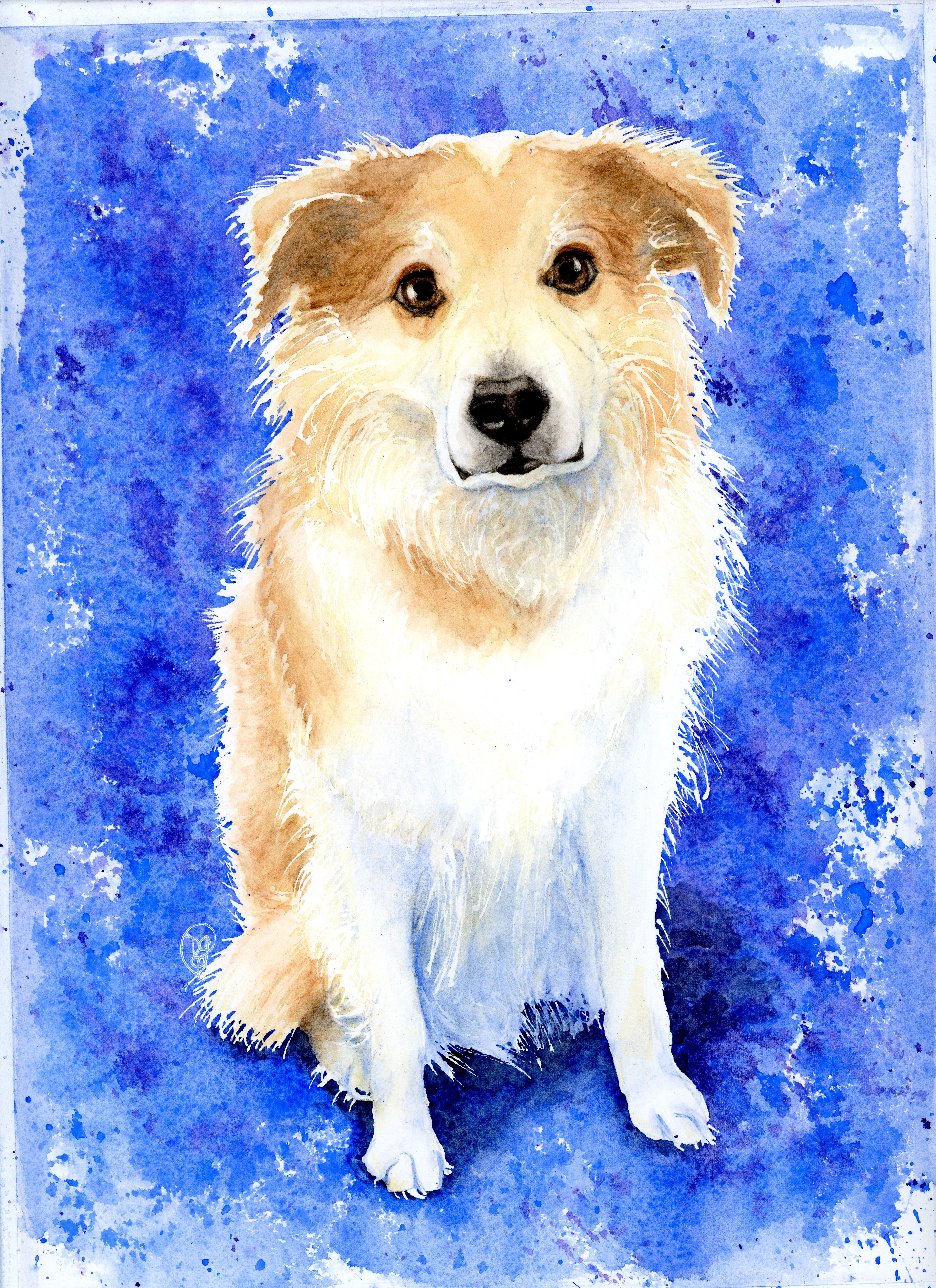 Bo. Watercolor and pencil.