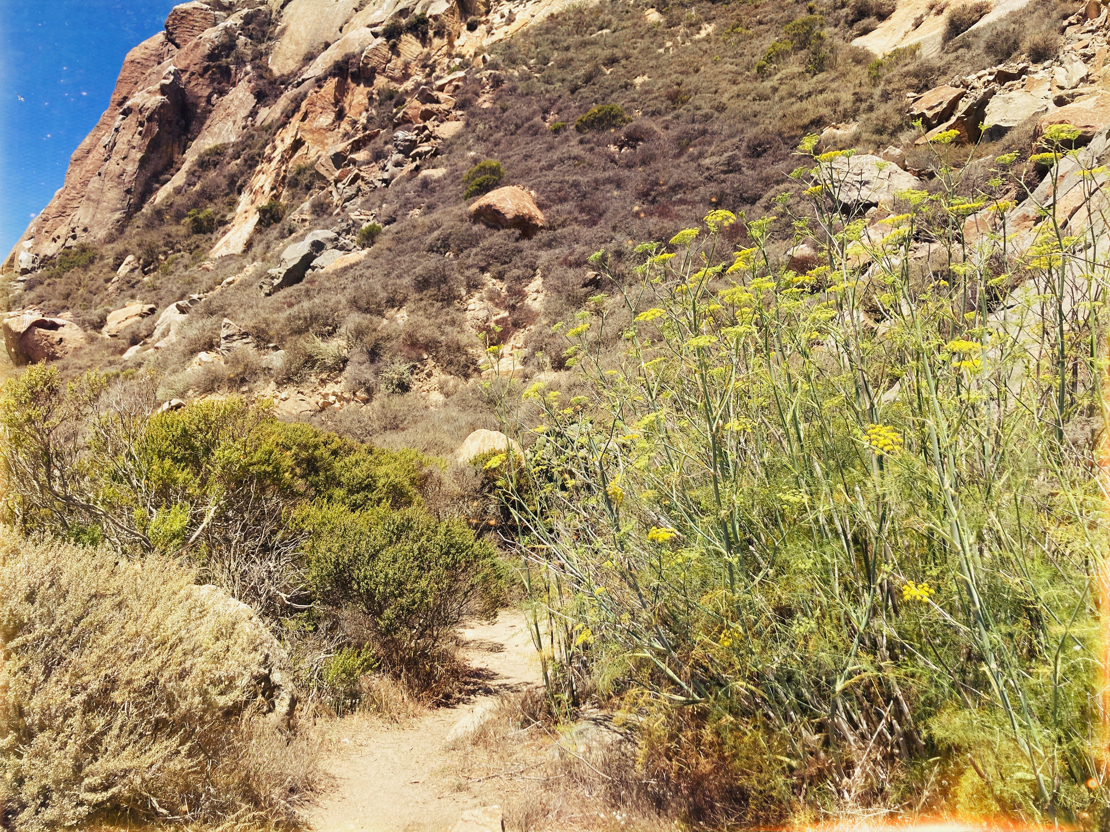 Morro Bay, CA
