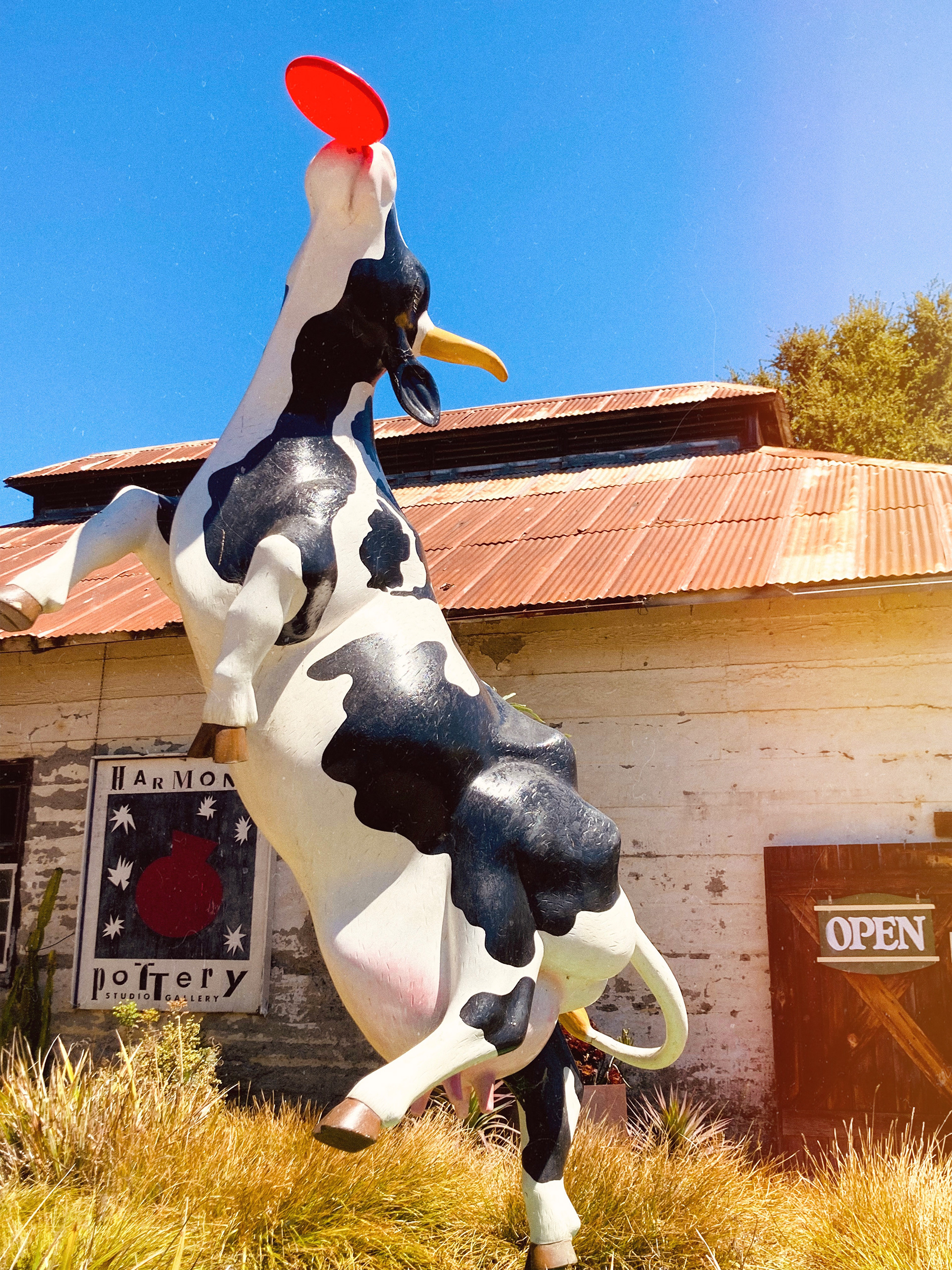 Harmony, CA