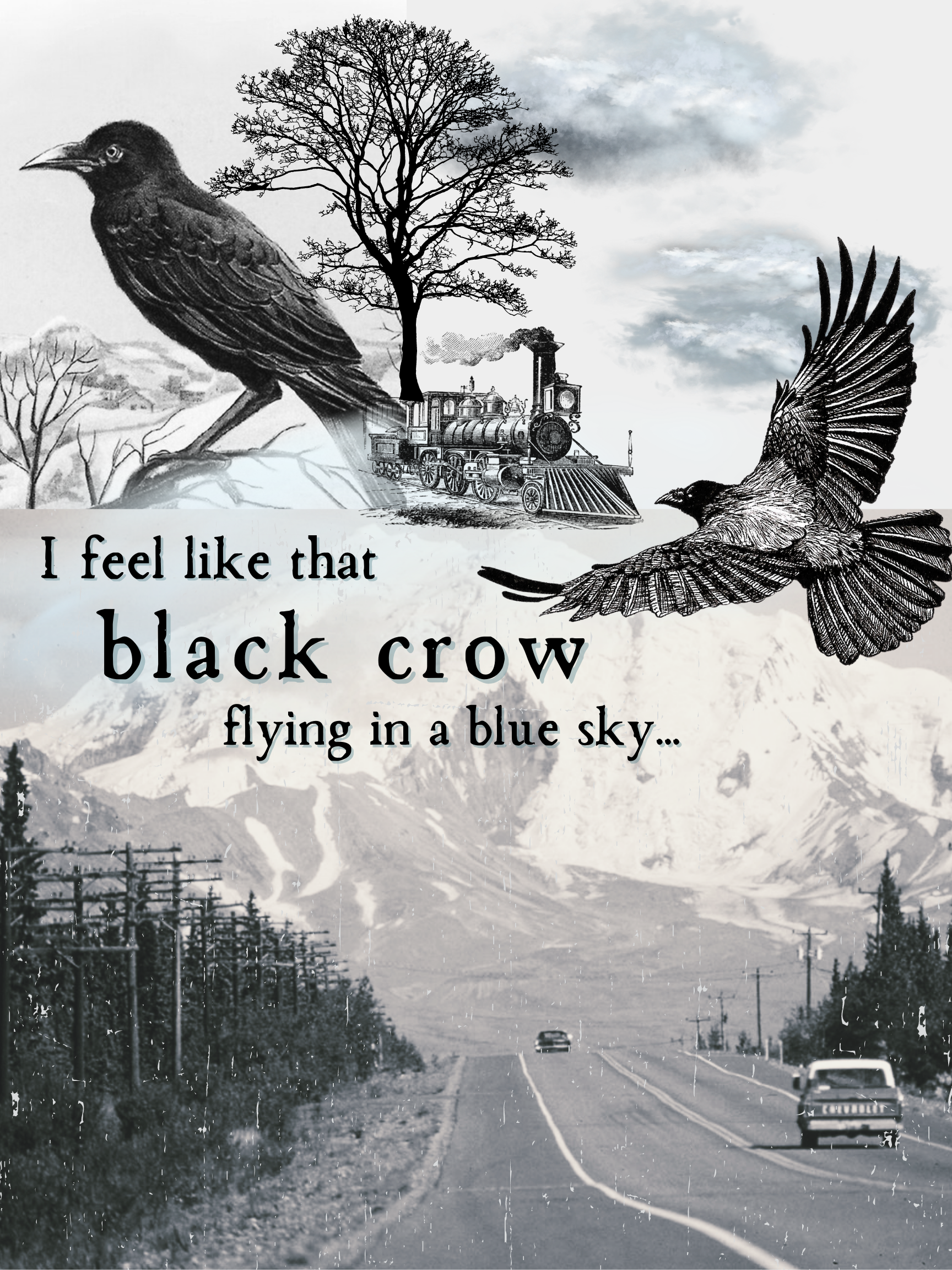 Black Crow