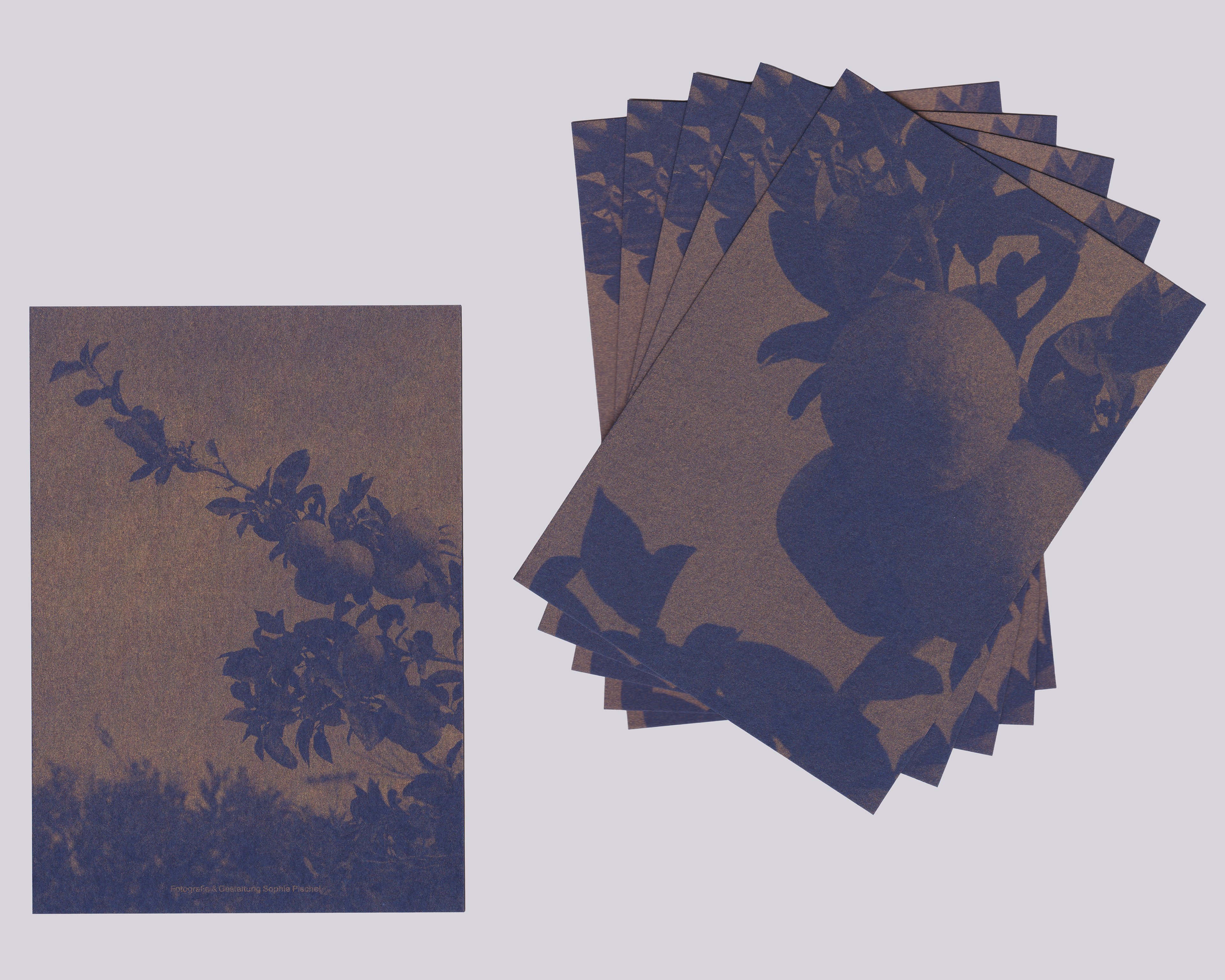 Photography + Art Print (Risography) | 2025