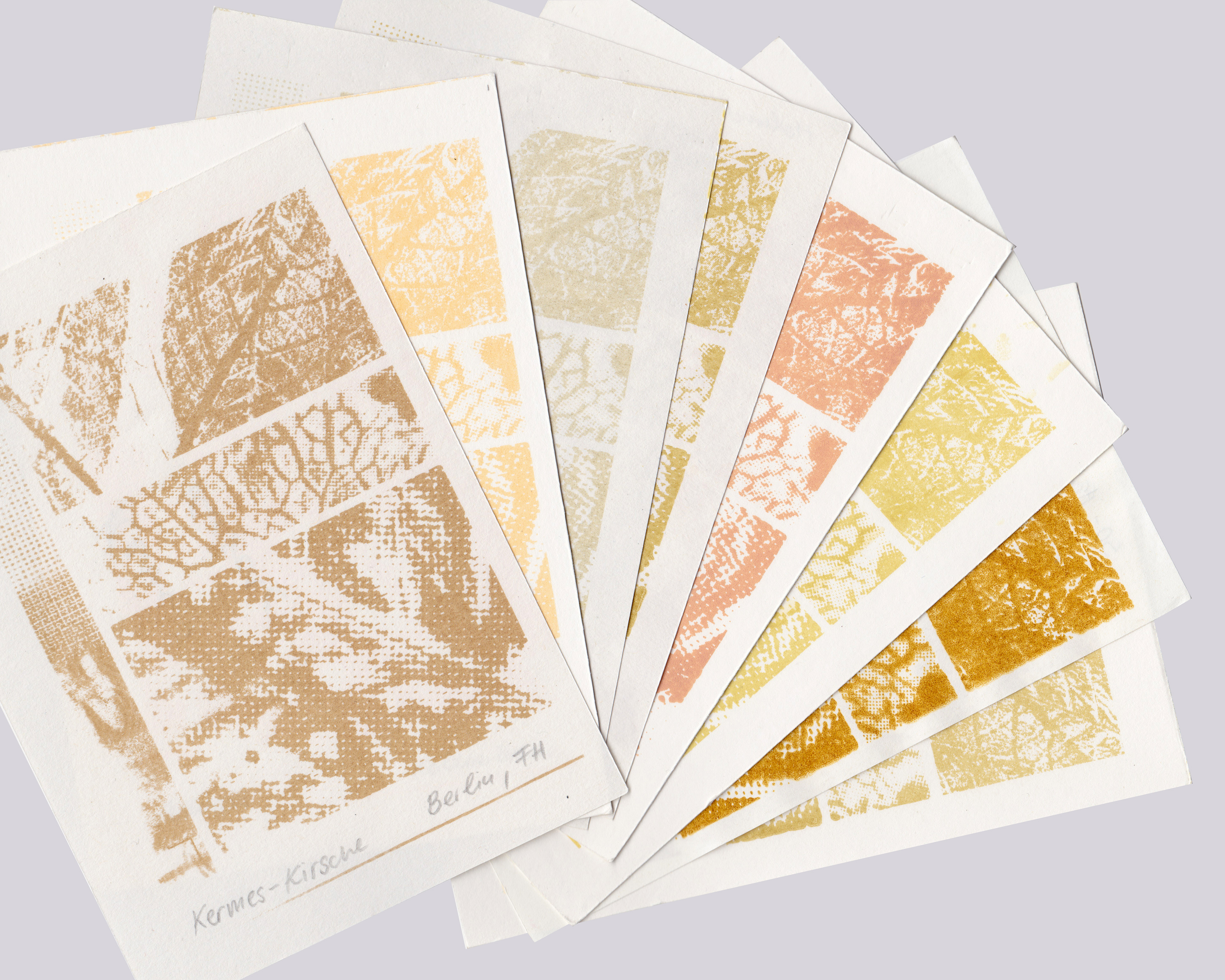 Experimental Pigment Production + Print Making | Self-initiated with Sandra Méndez Sarmiento | 2022-2023