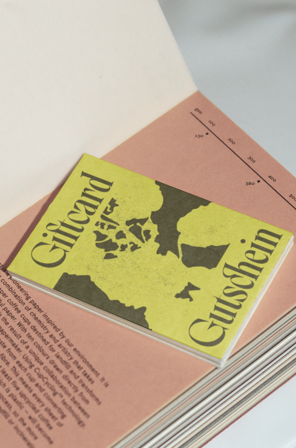 Branding for Zabriskie – Buchladen für Natur und Kultur |  Collaboration with Sandra Méndez Sarmiento | Since 2023