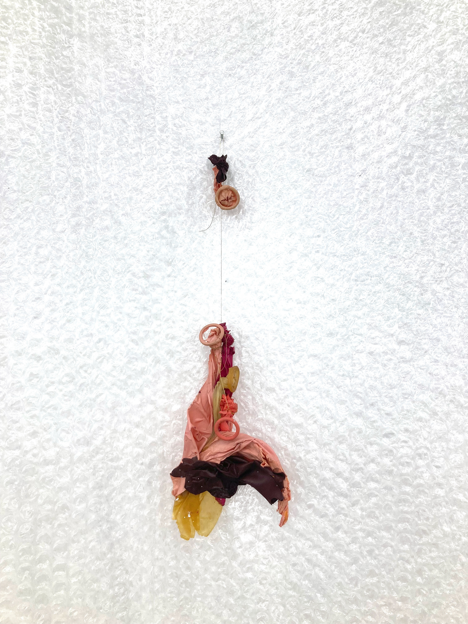Entangled, 2019-2024