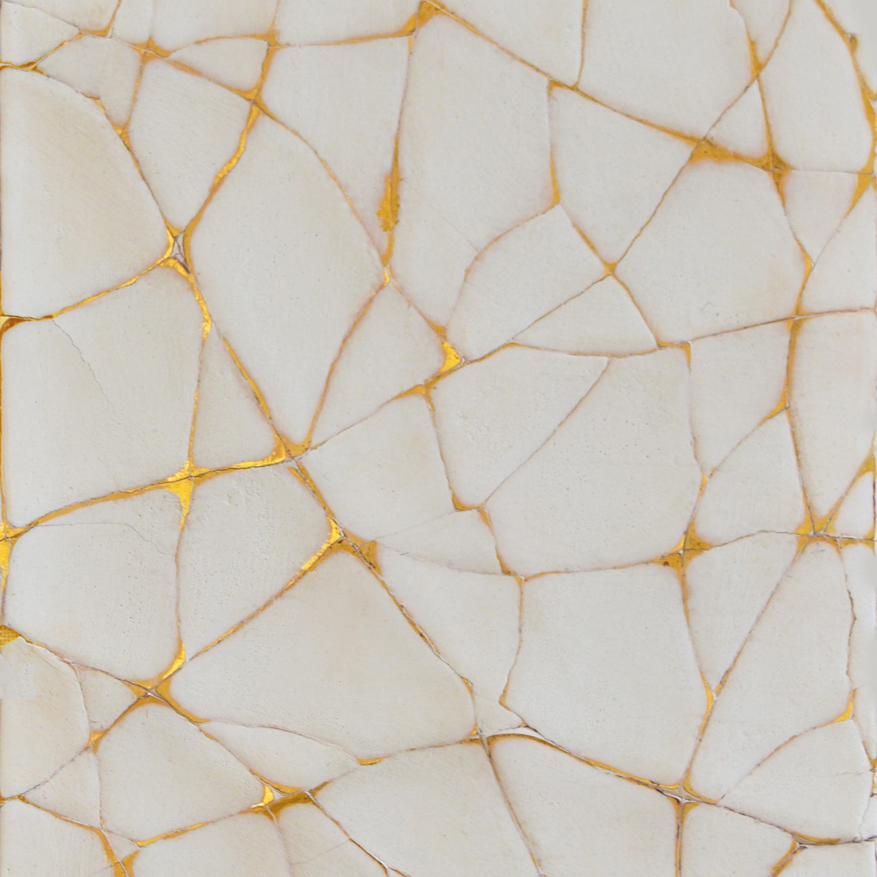 Cracked Gesso