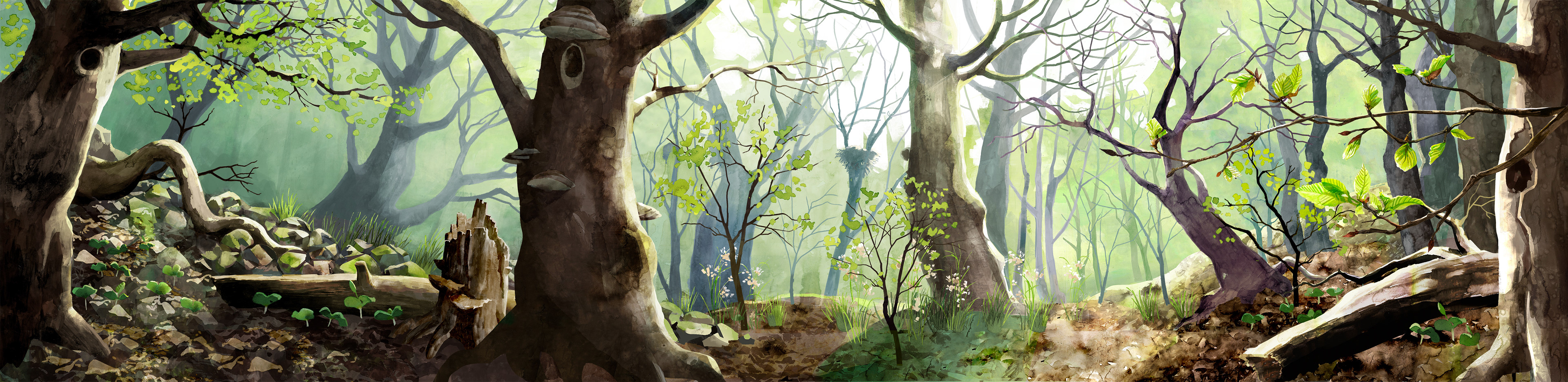 Wissenschaftliche Illustration einer Waldszenerie im Frühling mit Buchenkeimlingen und blühender Hainsimse