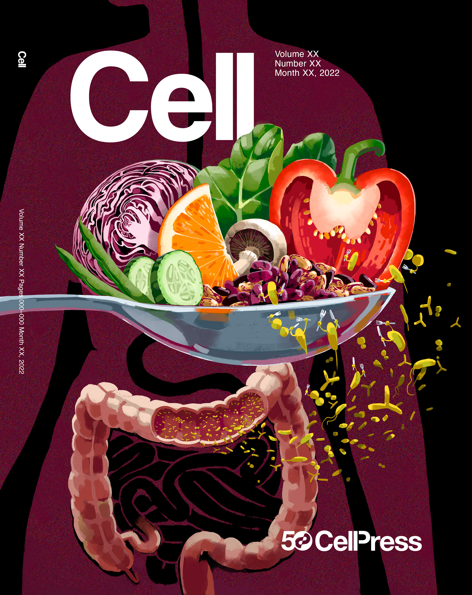 Cover-Entwurf Februar-Ausgabe | Cell Magazin | digitale Illustration | 2025