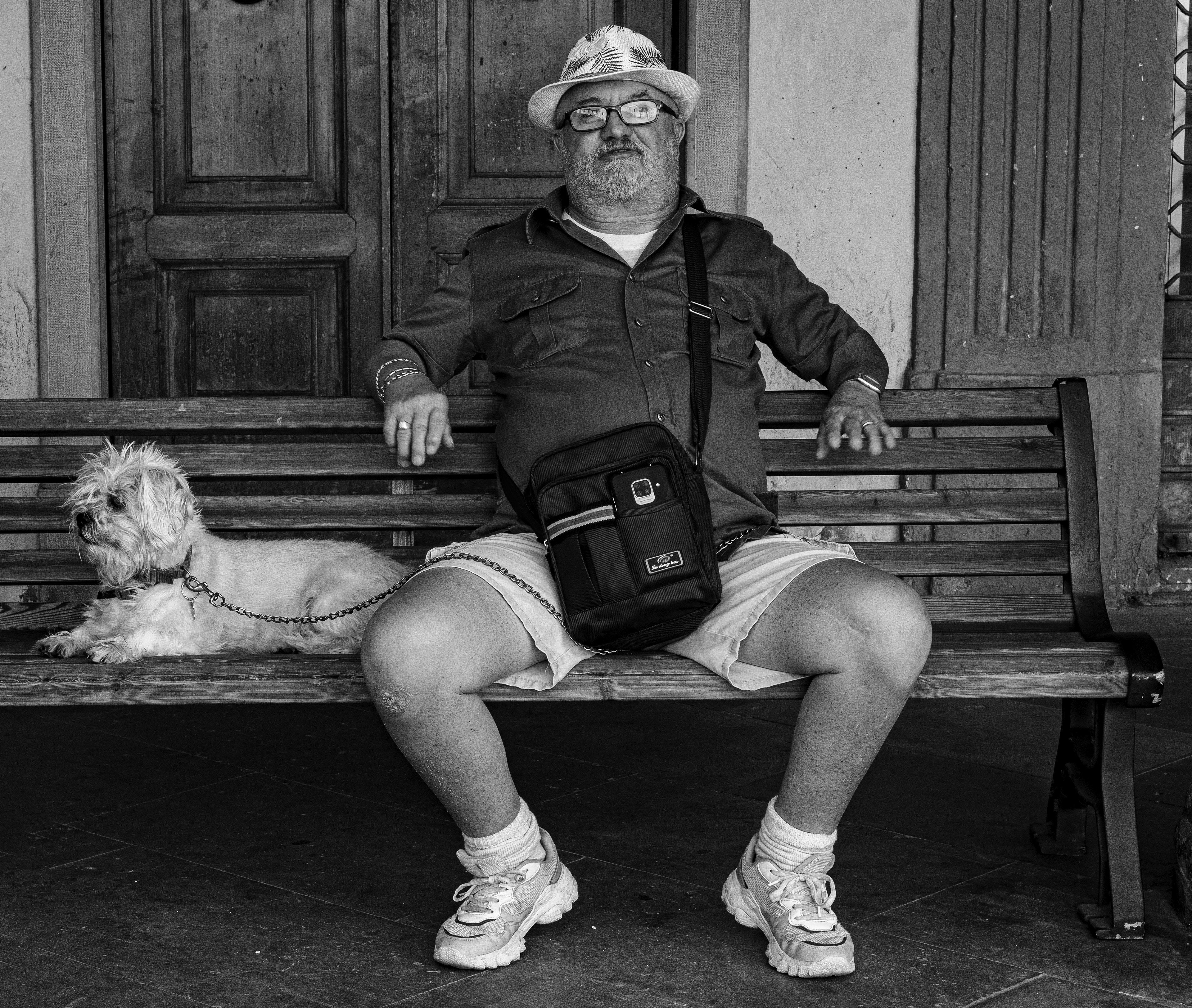 Dog sitter