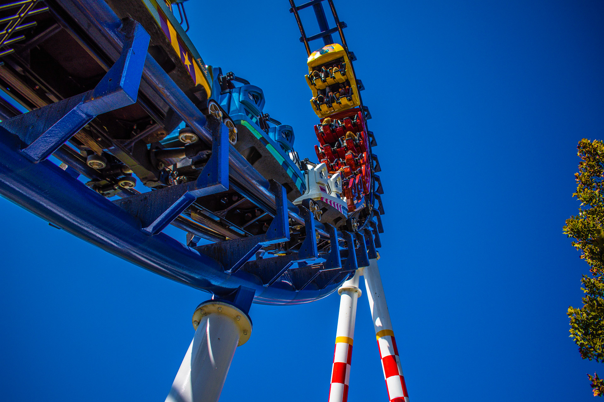 The first and only cobra roll at the Flying Cobras