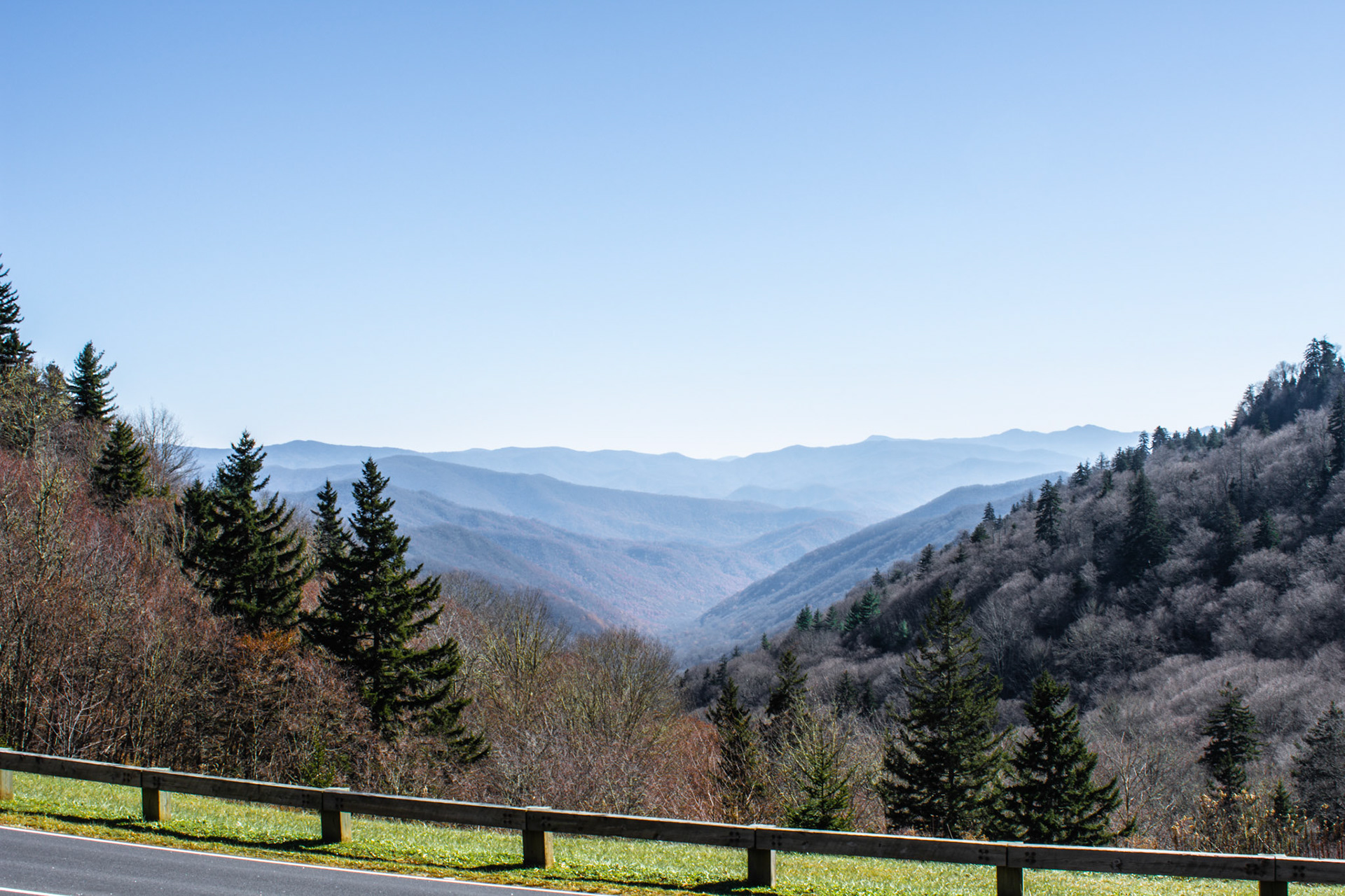Deep Within the Valley
