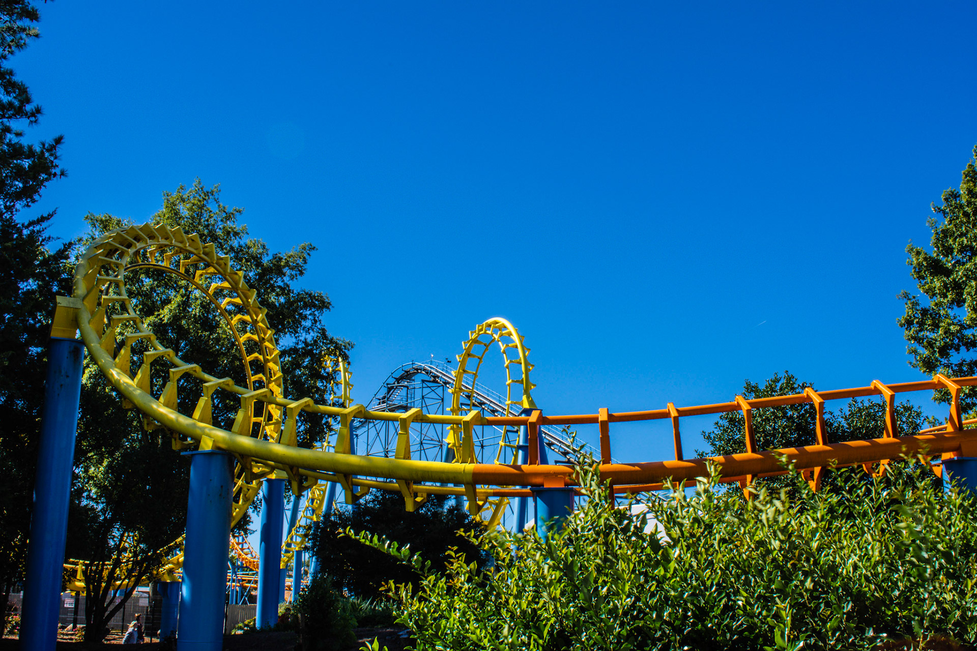 Carolina Cyclone’s turn around before entering the corkscrew.