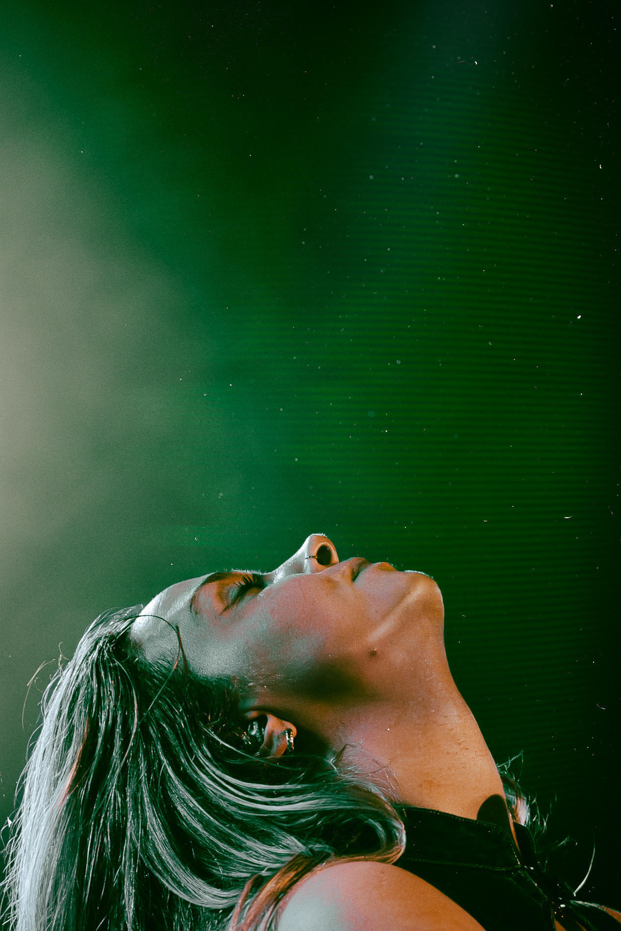 Dead Pony + Supports - Image by Owain Morris.
