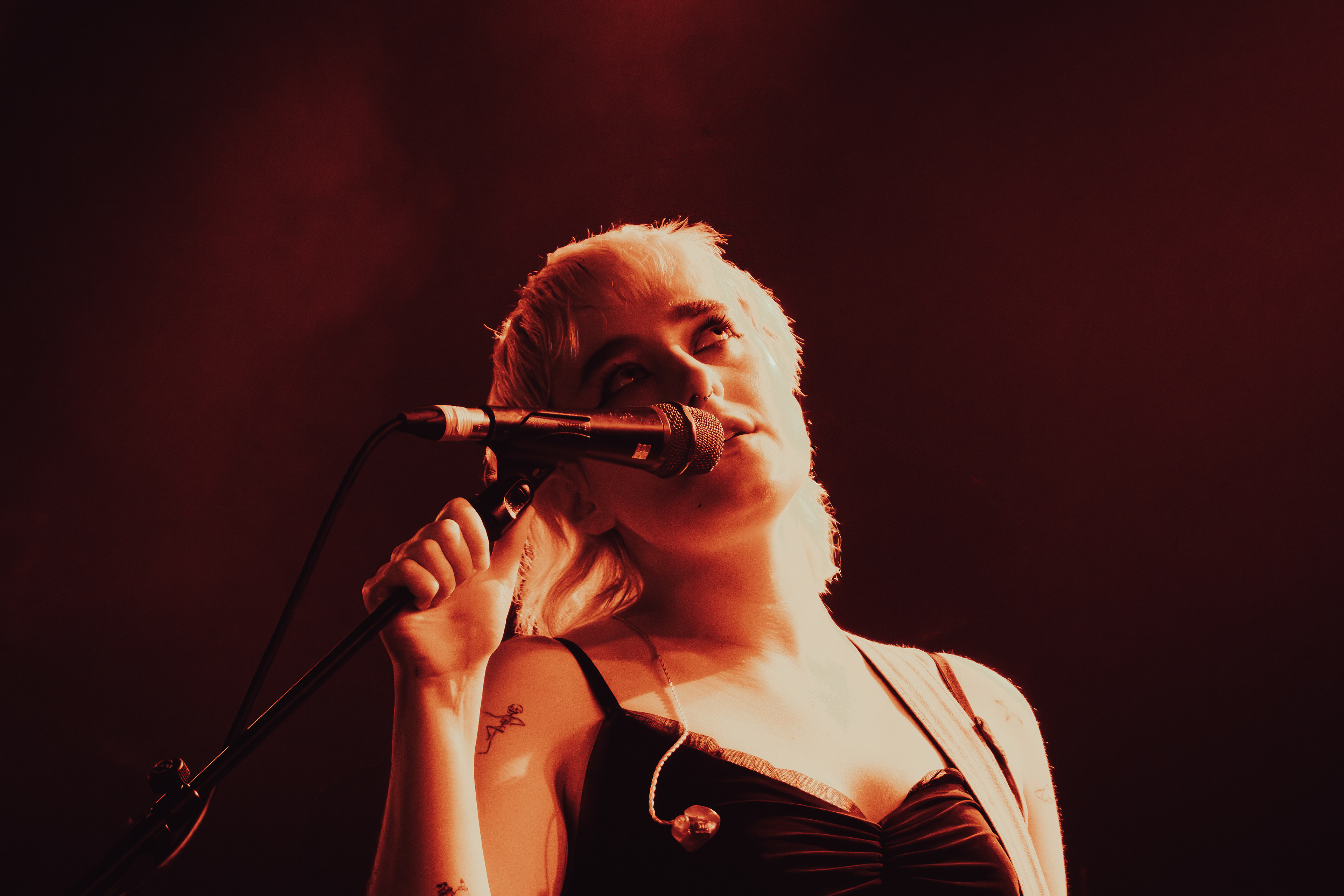 Image by Owain Morris.