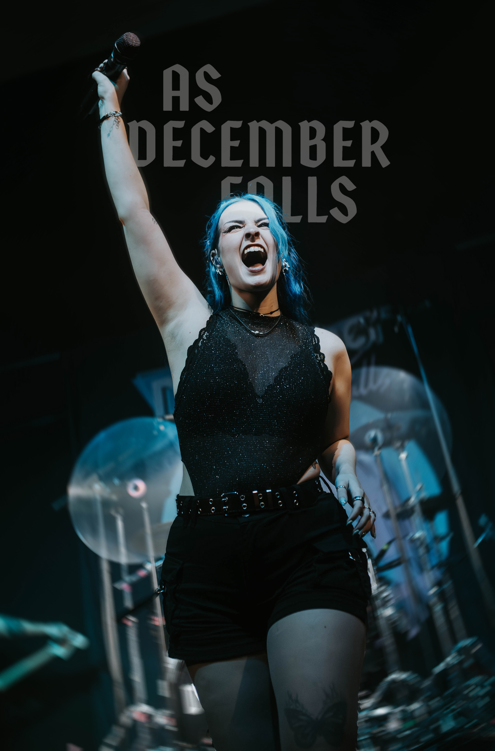 As December Falls - Image by Dani Evans