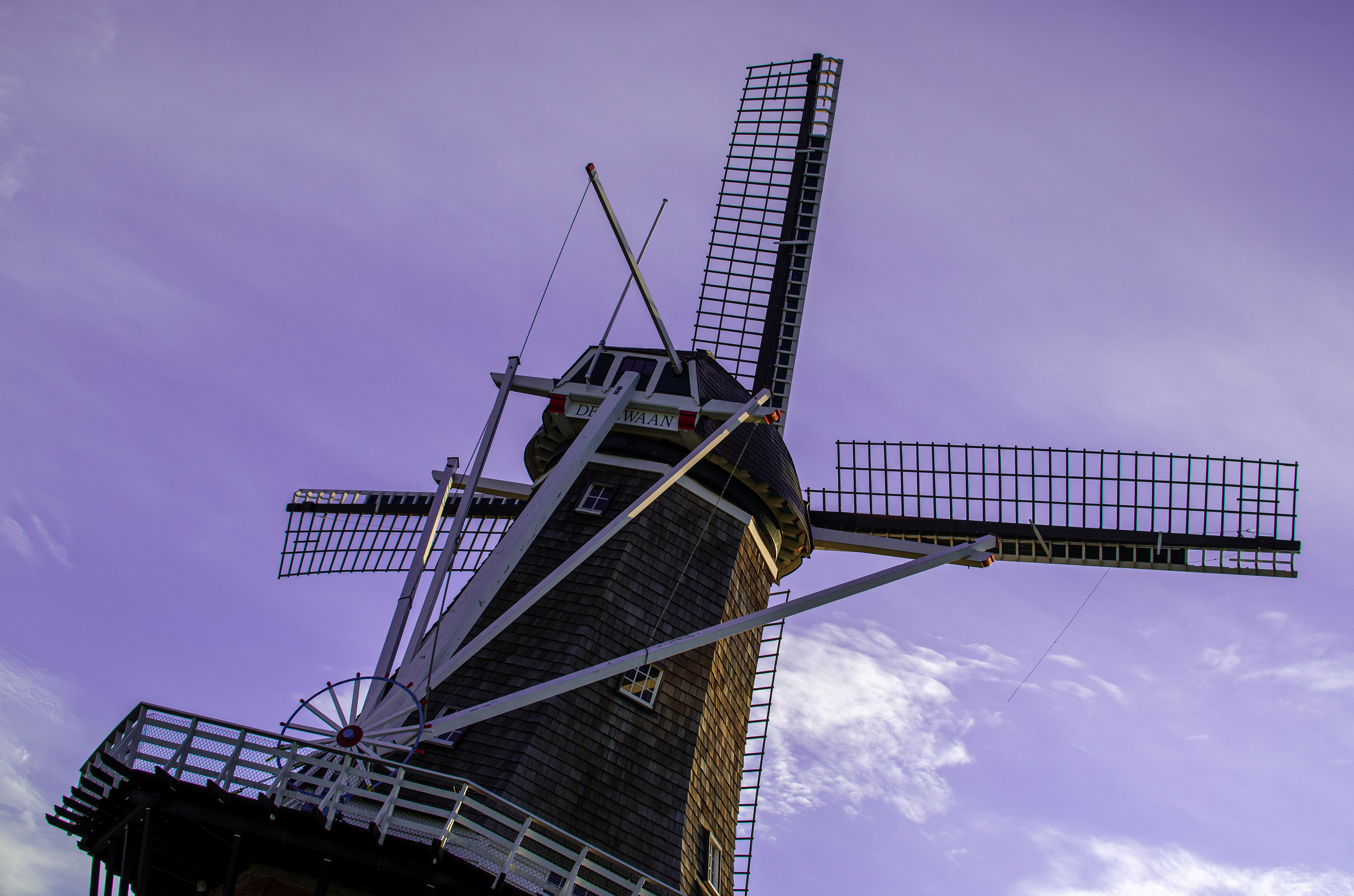 holland tulip festival
