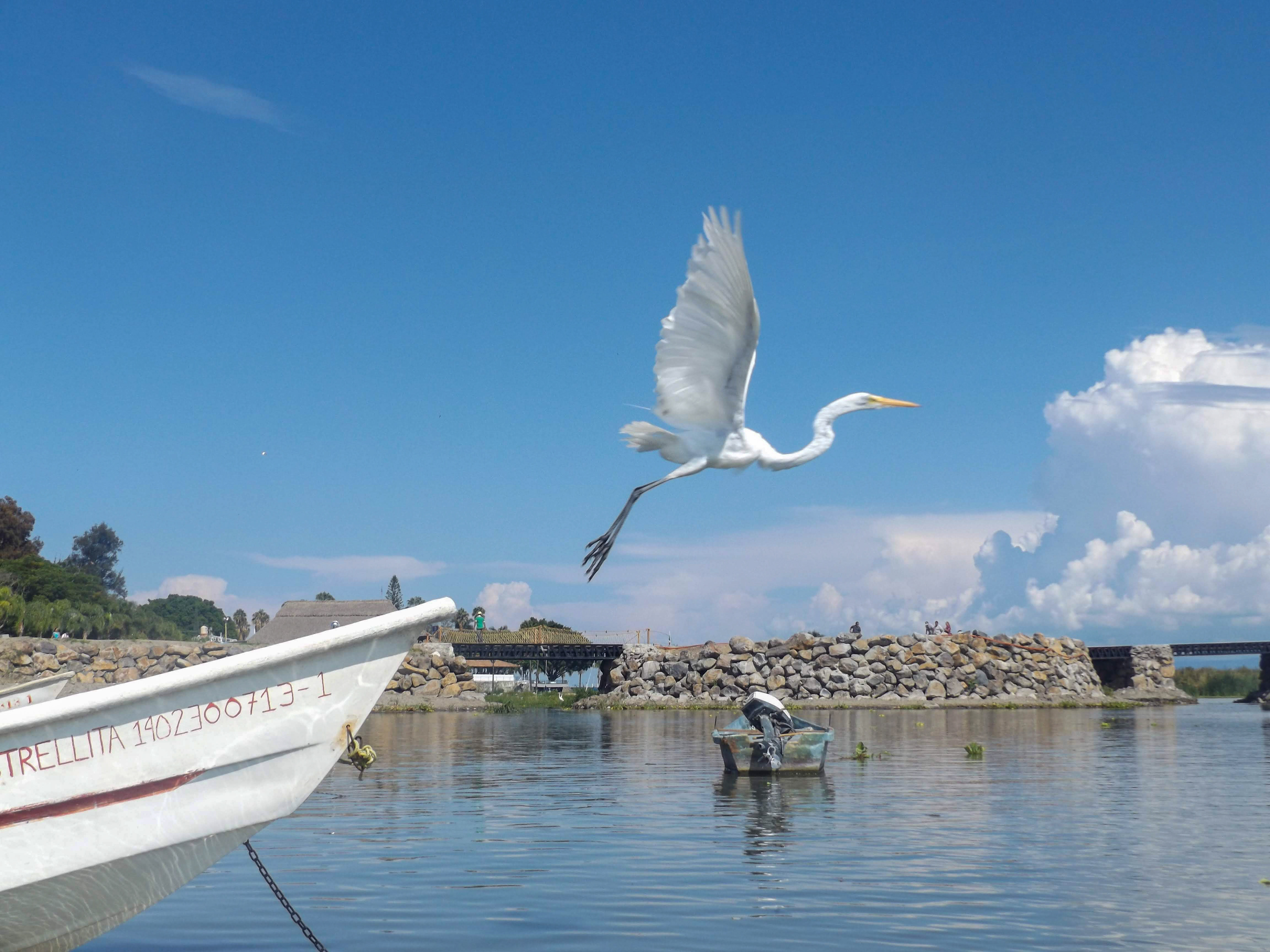 chapala, jalisco, mexico