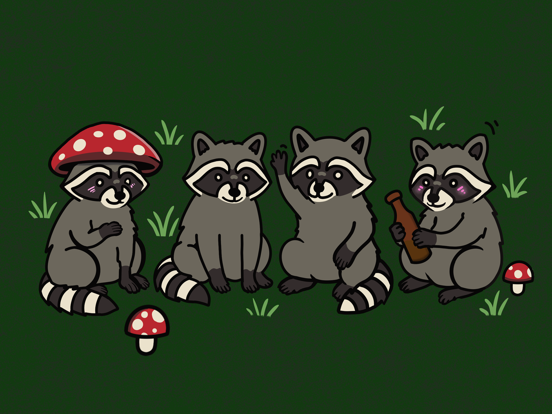 Raccoon Friends