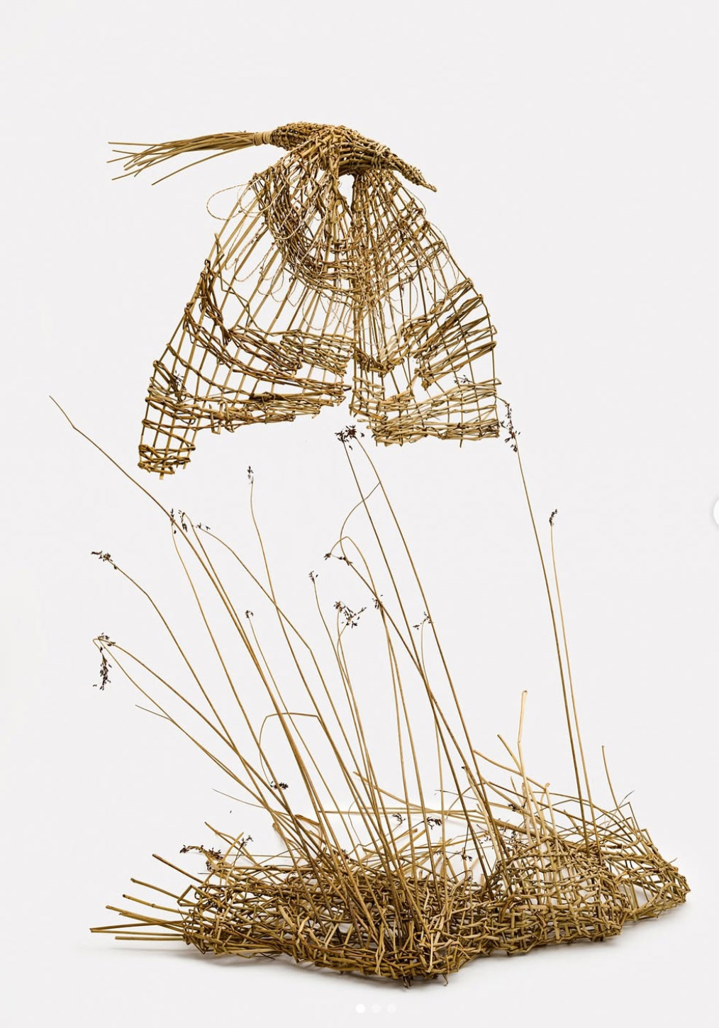 Apenas un comienzo, 2025 | Junco e inflorescencia de palmera | 120 x 150 x 200