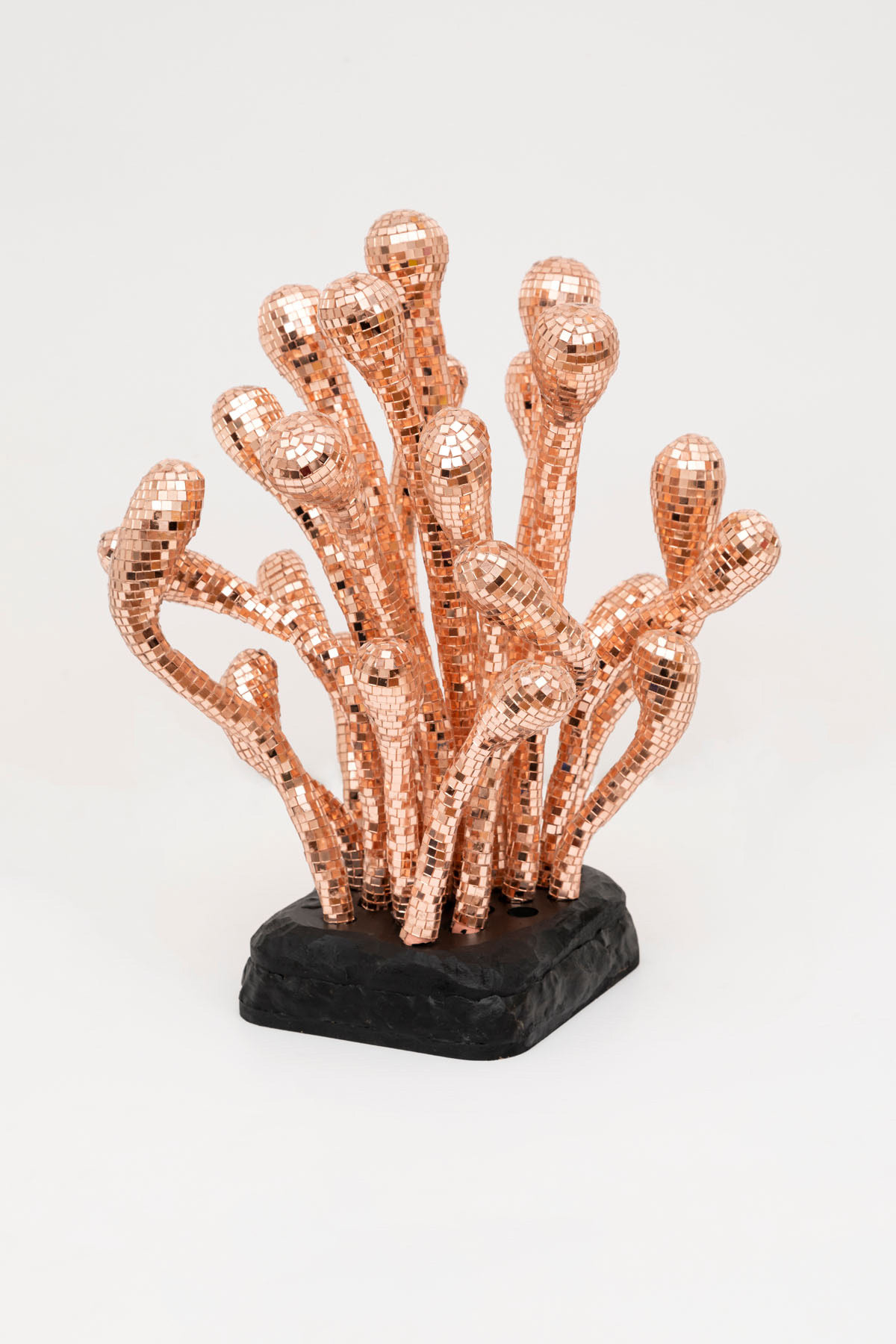 Psilocibios , 2024 | Masilla epoxi, alambre, vidrio espejado y vidrio líquido | 45 x 40 x 30 cm.