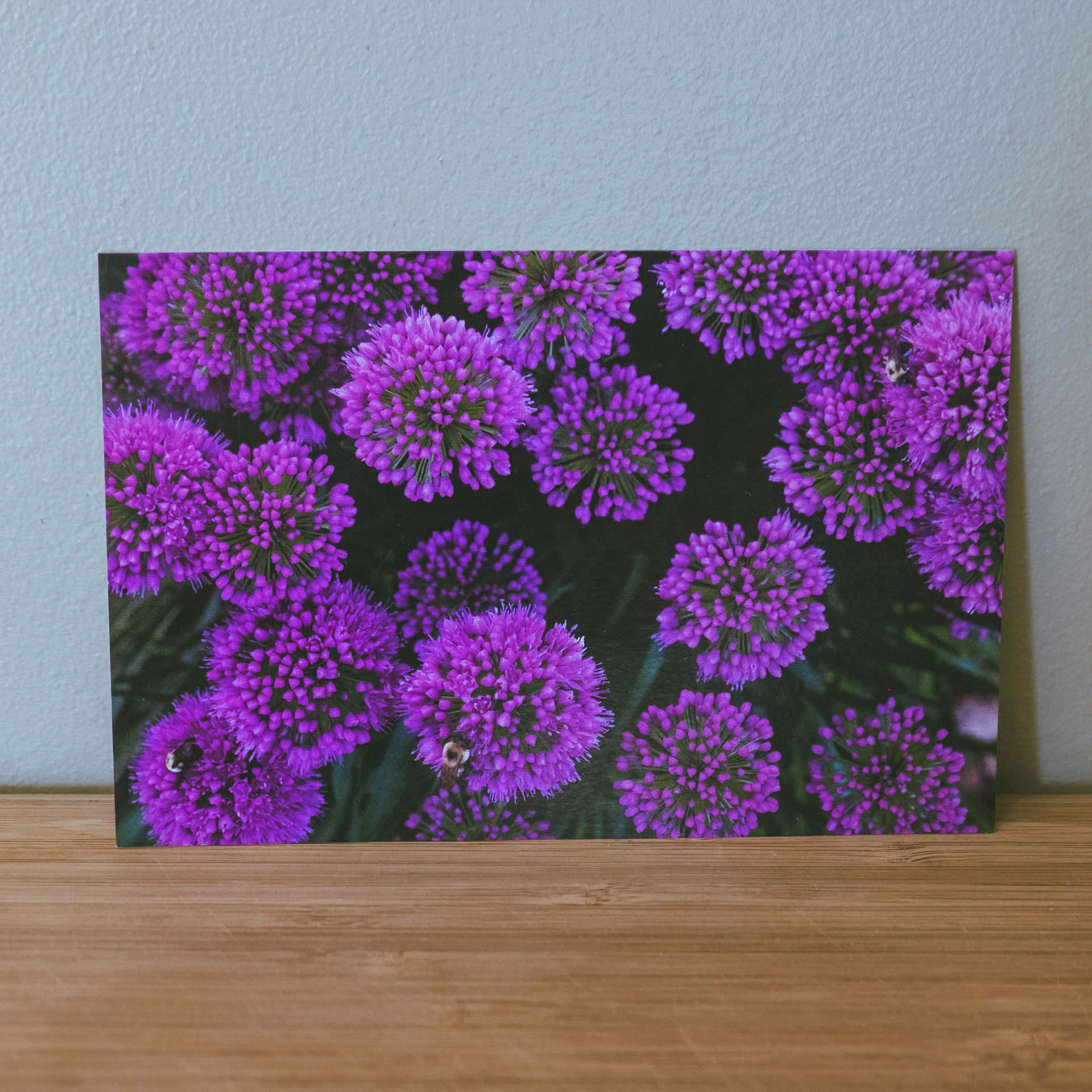 5. Purple Poofs