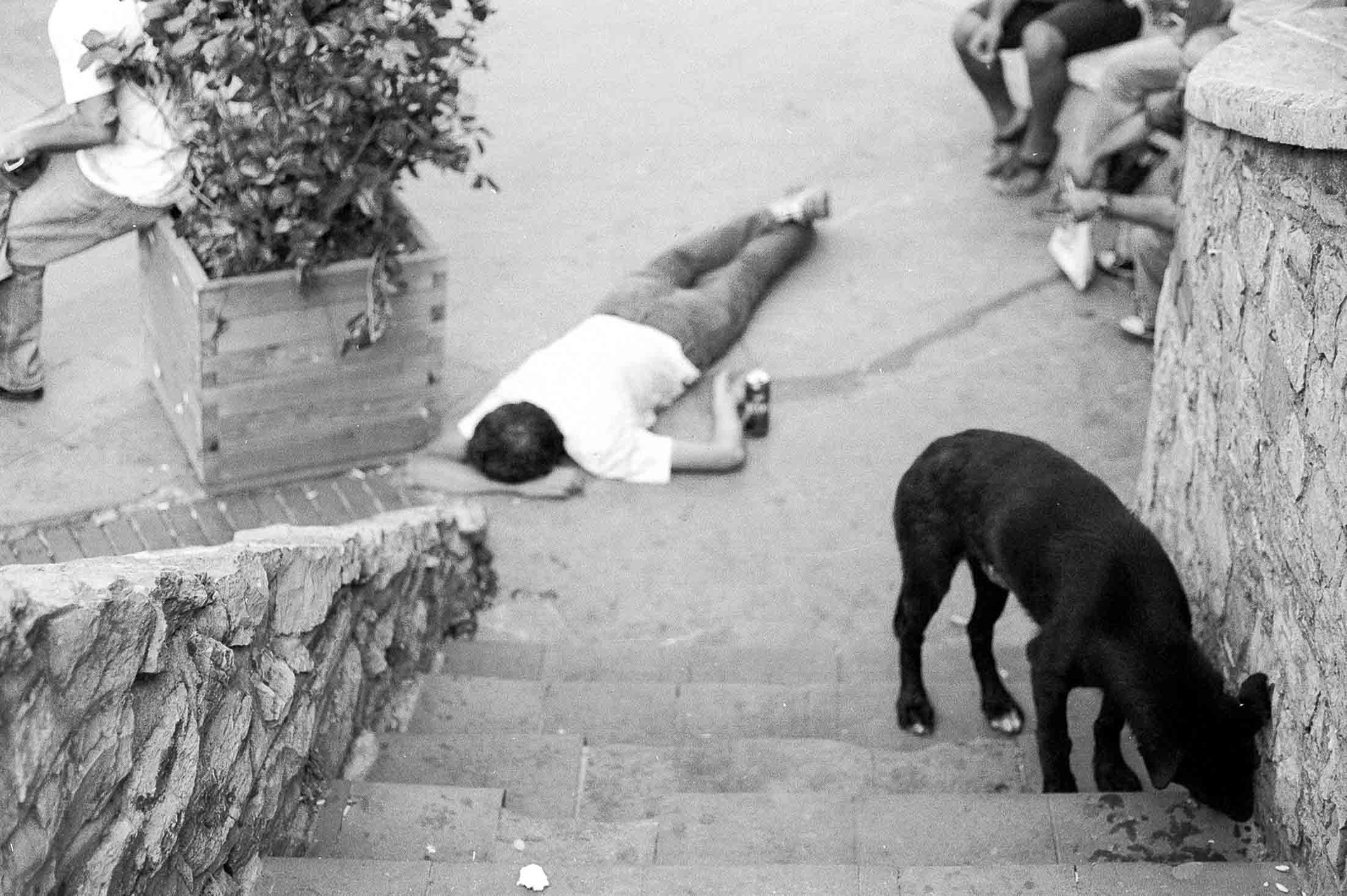 Galata-2012