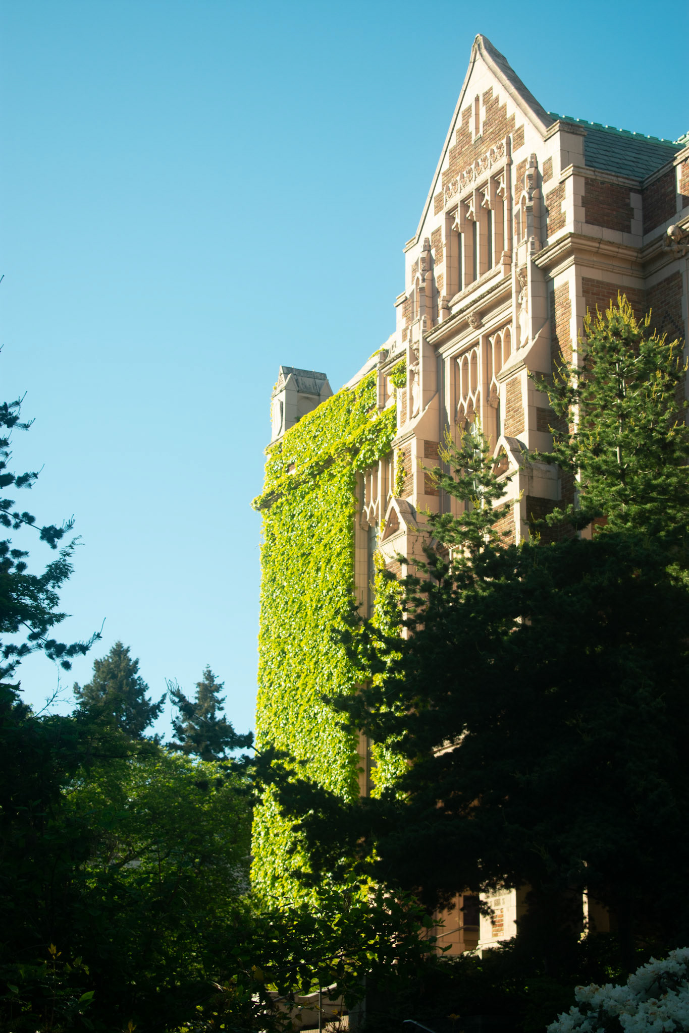 Side view of Smith Hall in the evening. Smith Hall sits along the University of Washington's quad, famous for it's cherry blossom trees and stunning architecture.