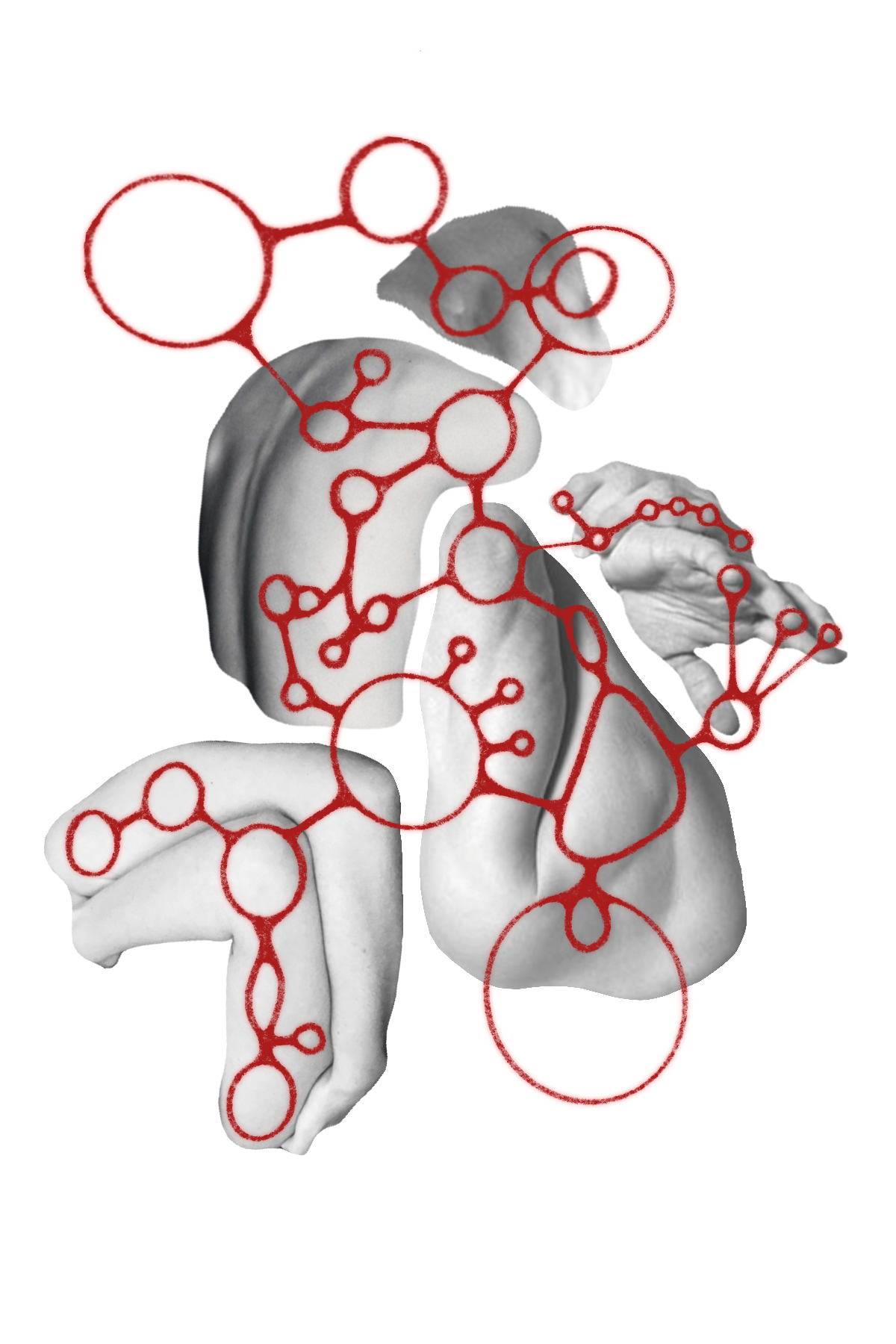 Untitled, 2023. Procreate.