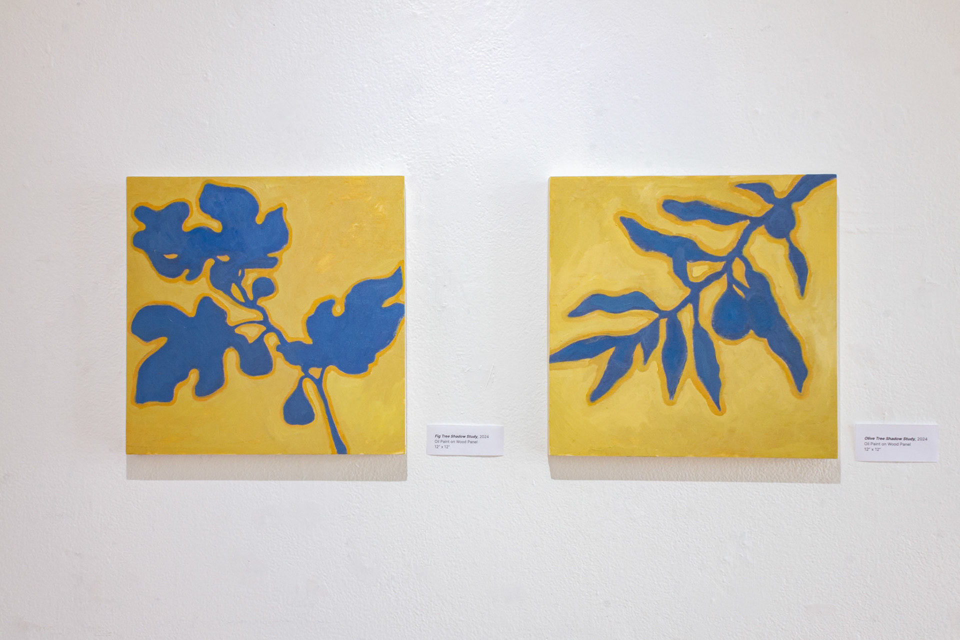 Fig & Olive Tree Shadow Study, 2024 Oil Paint on Wood Panel 12” x 12”