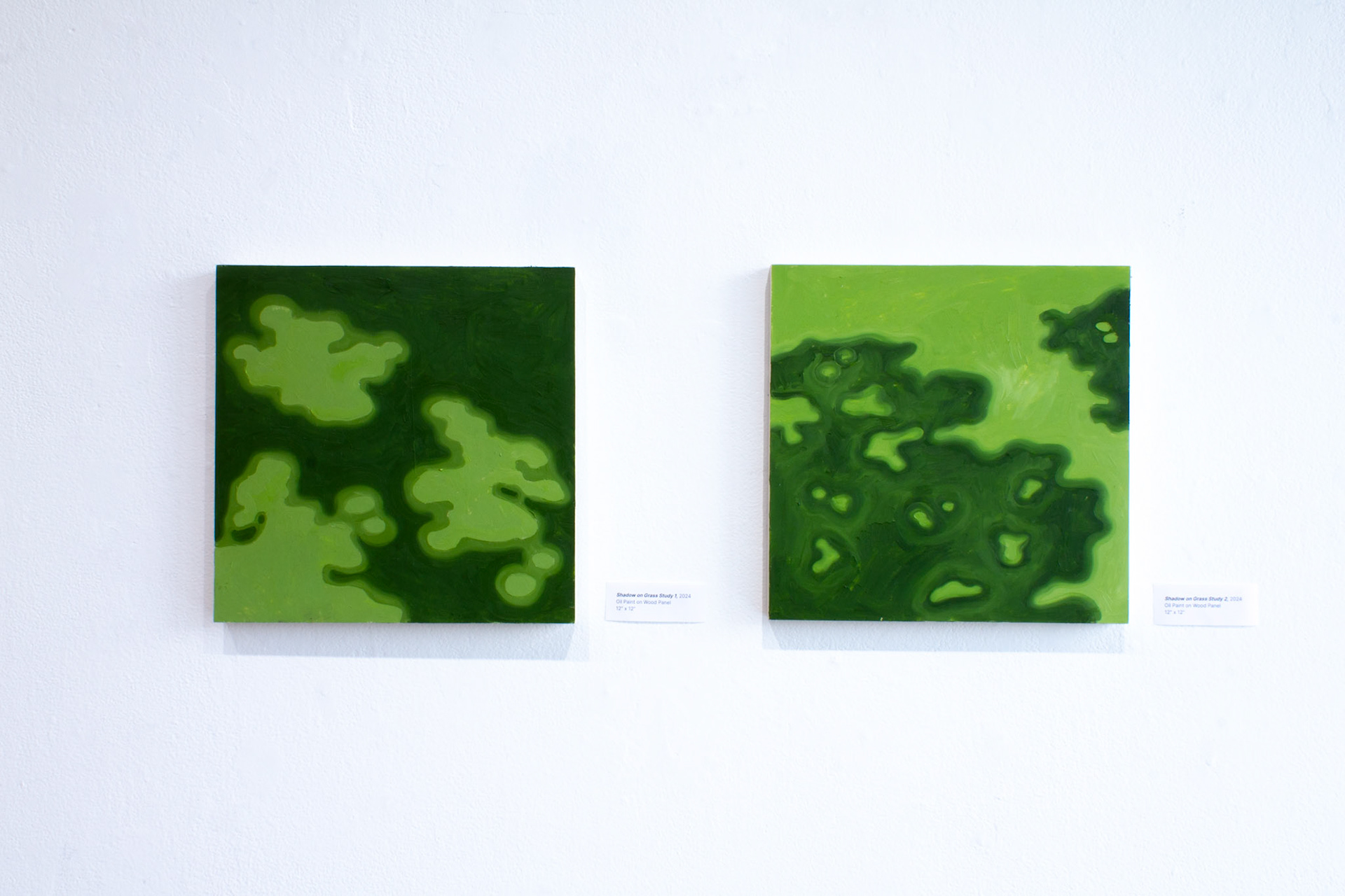Shadow on Grass Study 1 & 2, 2024 Oil Paint on Wood Panel 12” x 12”